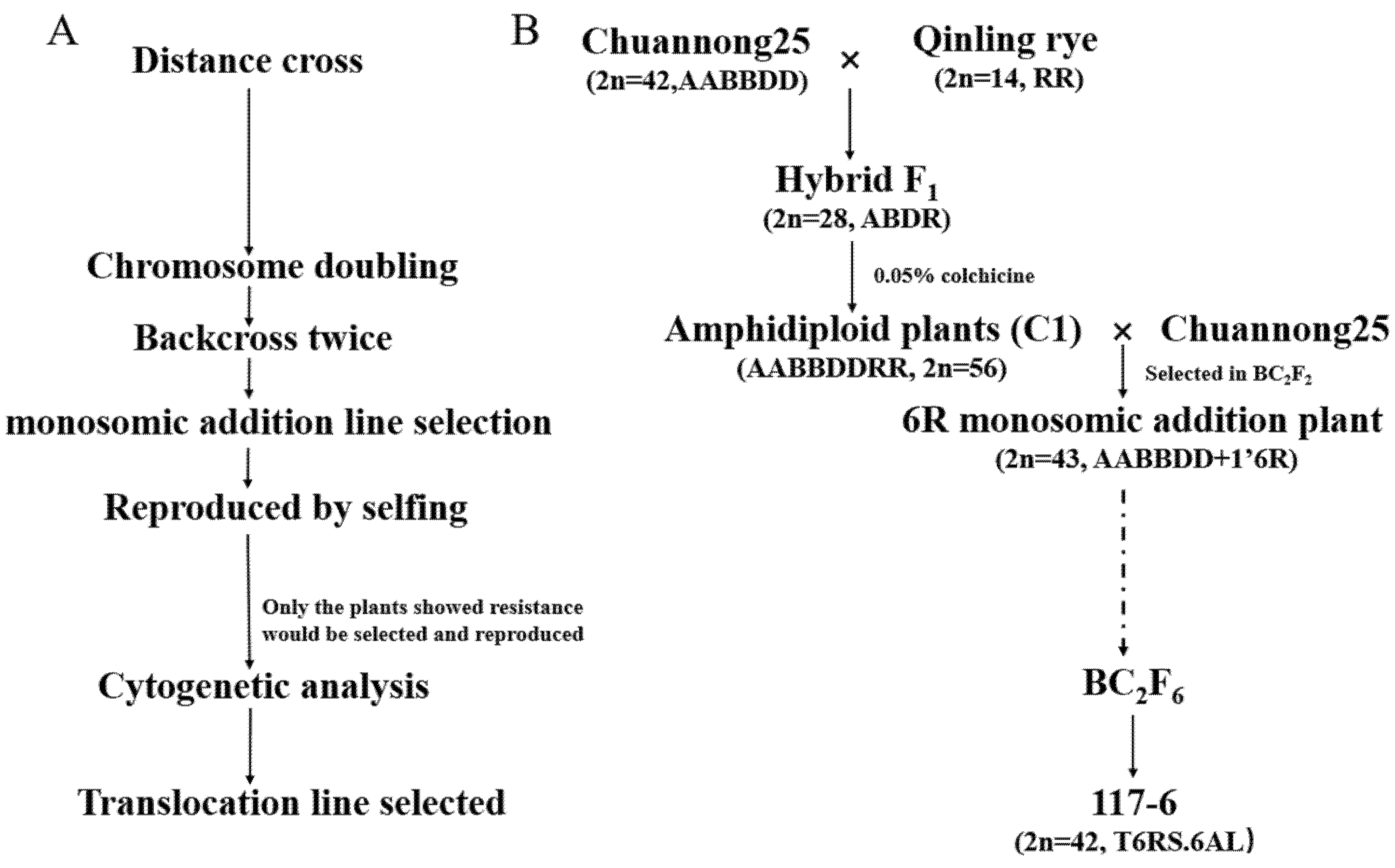 Ijms 23 10495 g001 550