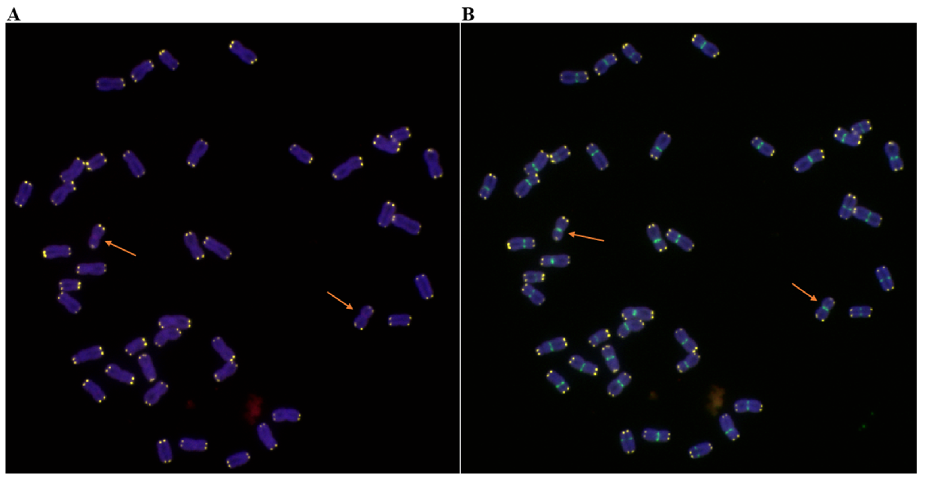 Ijms 23 10495 g003 550