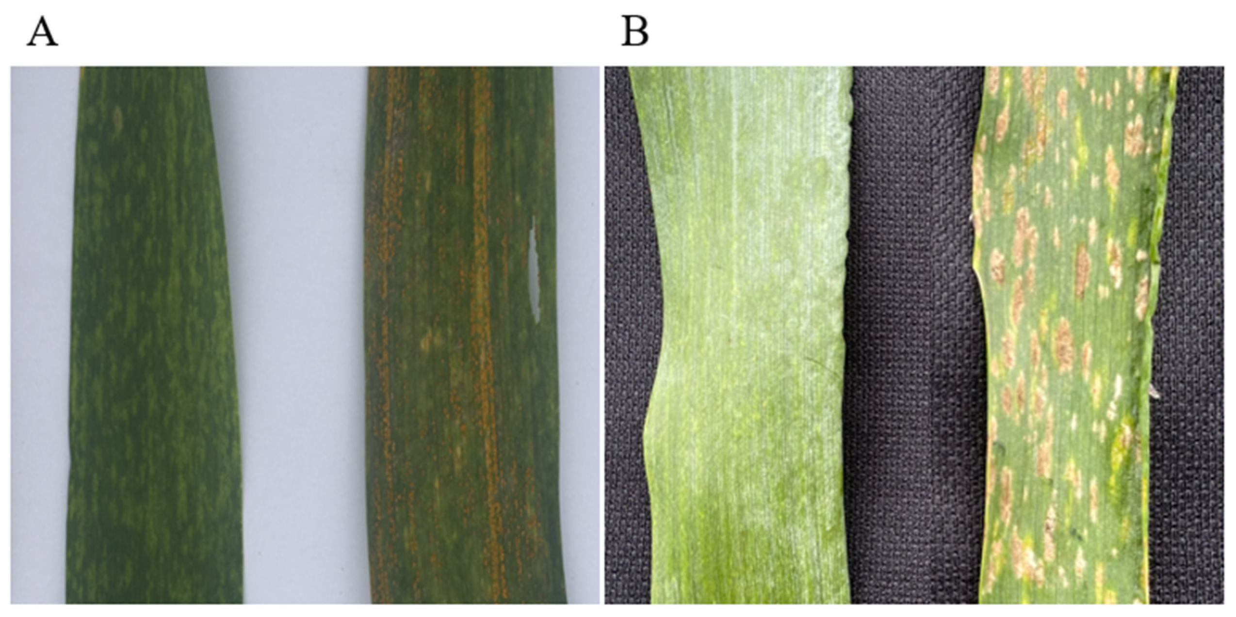 Ijms 23 10495 g005 550