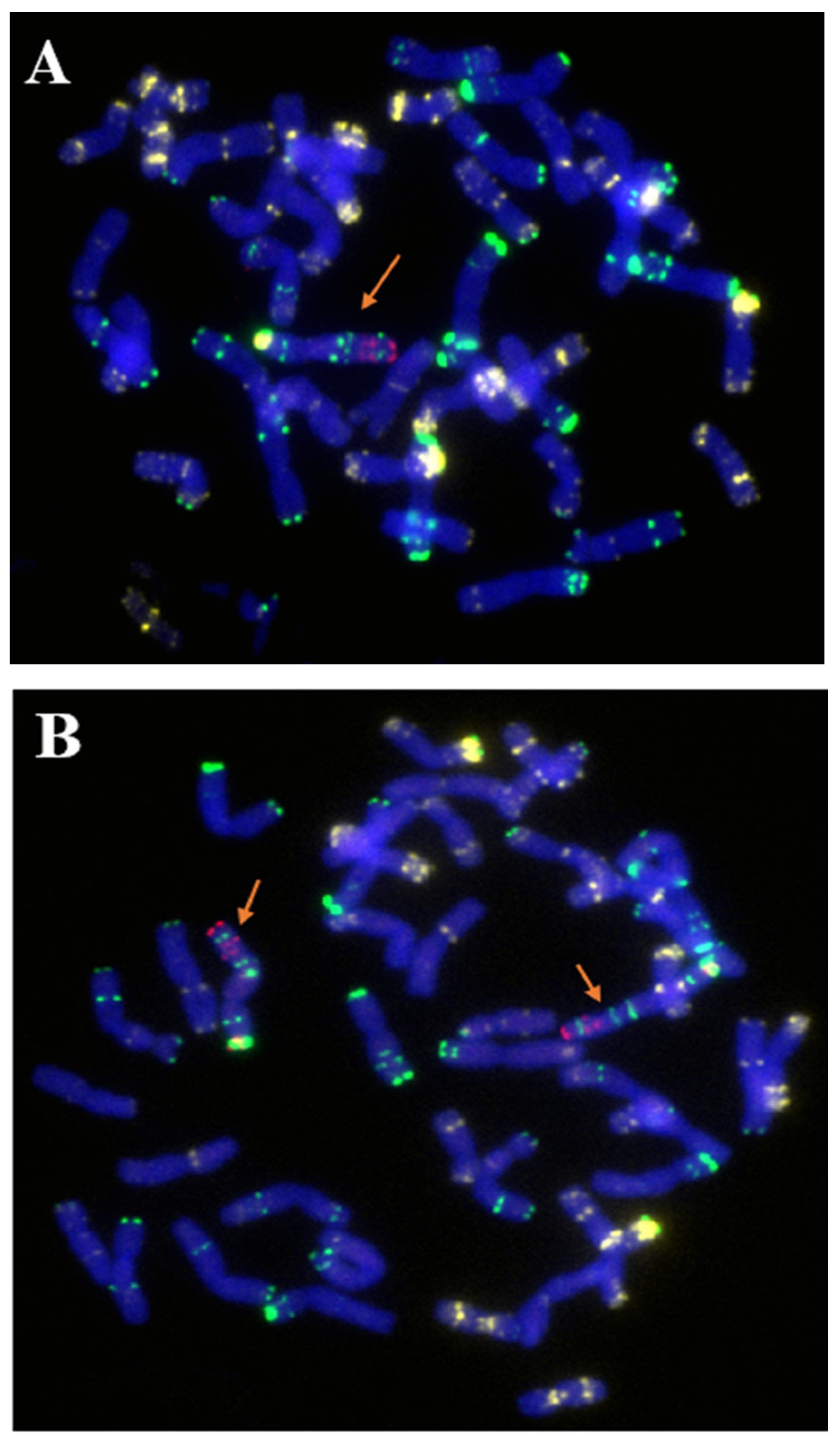 Ijms 23 10495 g006a 550