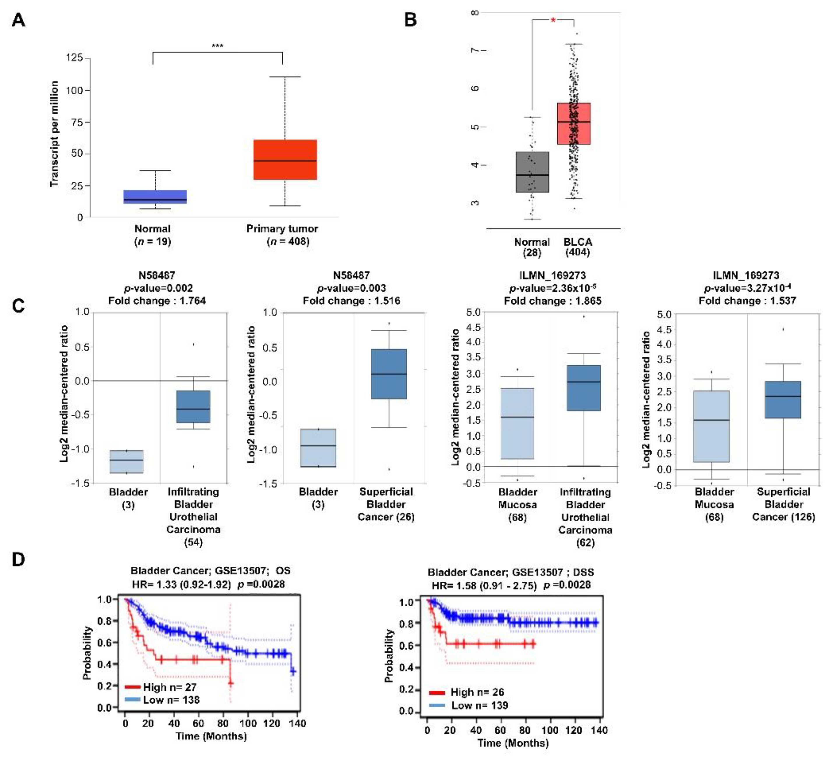 Ijms 23 10496 g001 550