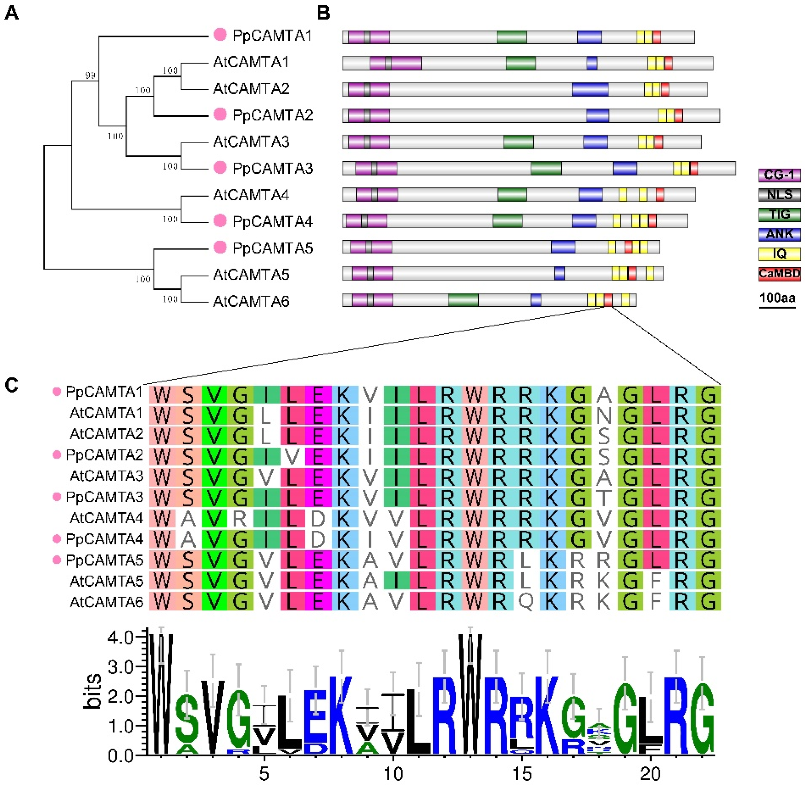 Ijms 23 10500 g001 550