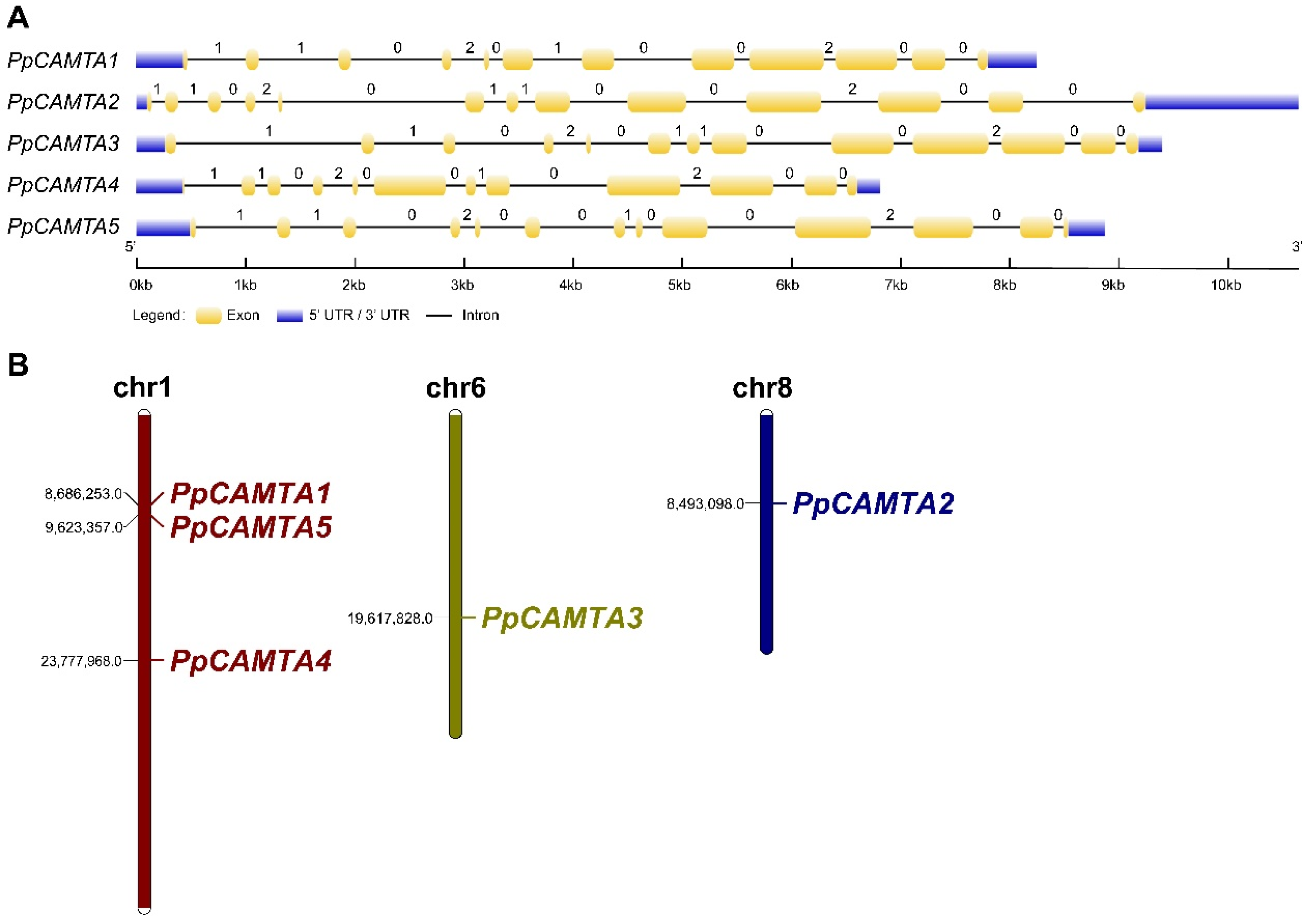 Ijms 23 10500 g002 550