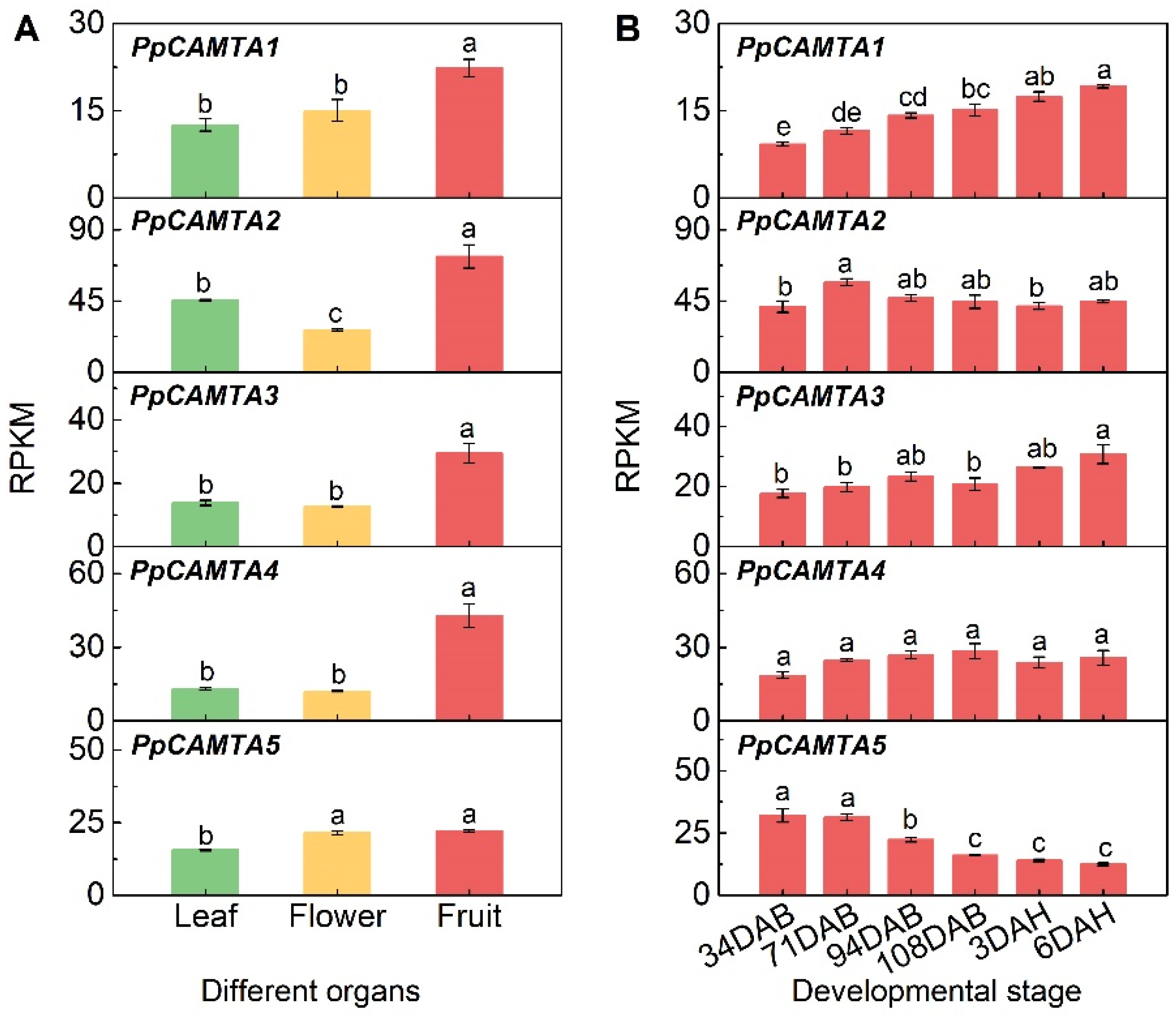 Ijms 23 10500 g005 550