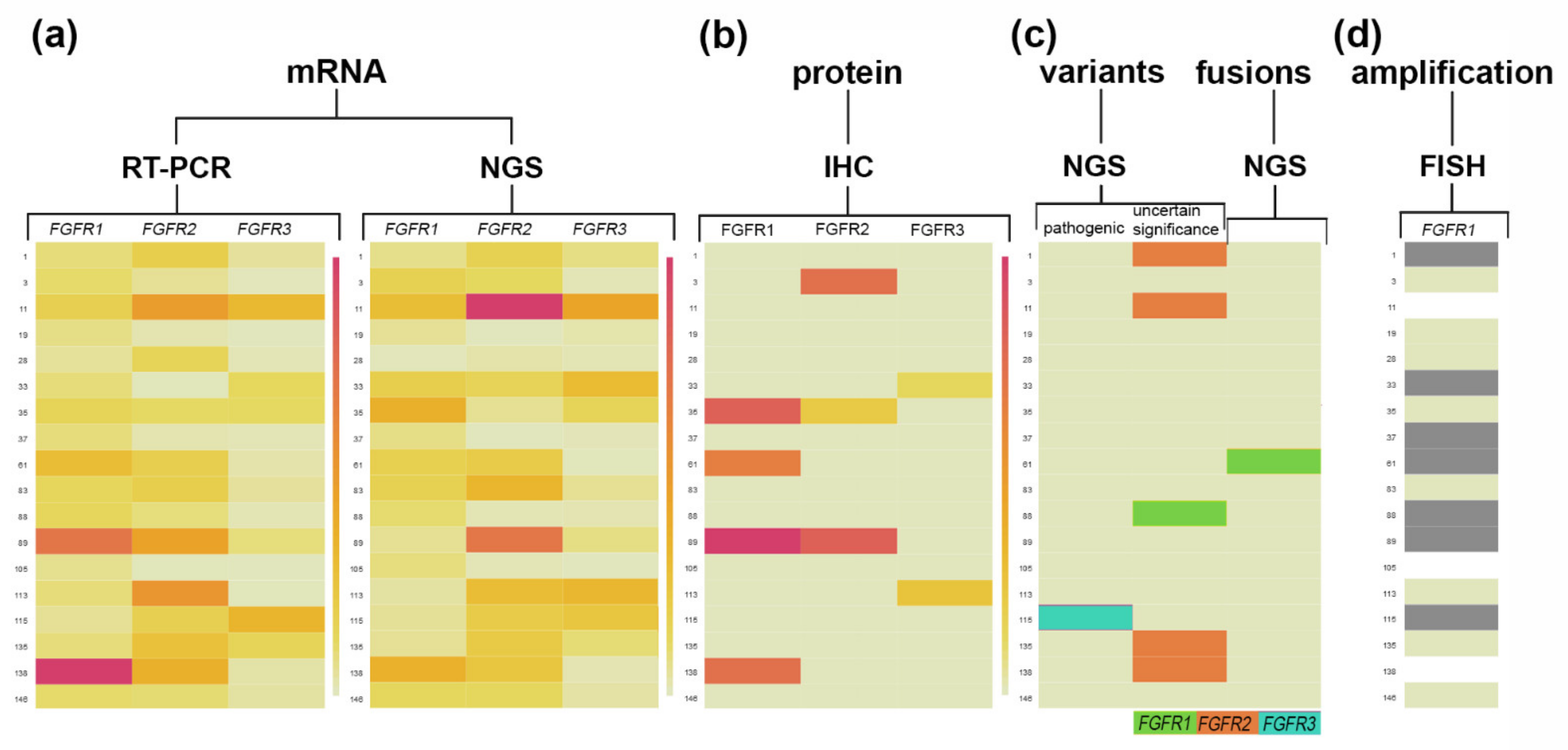 Ijms 23 10506 g007 Ijms 23 10506 g007