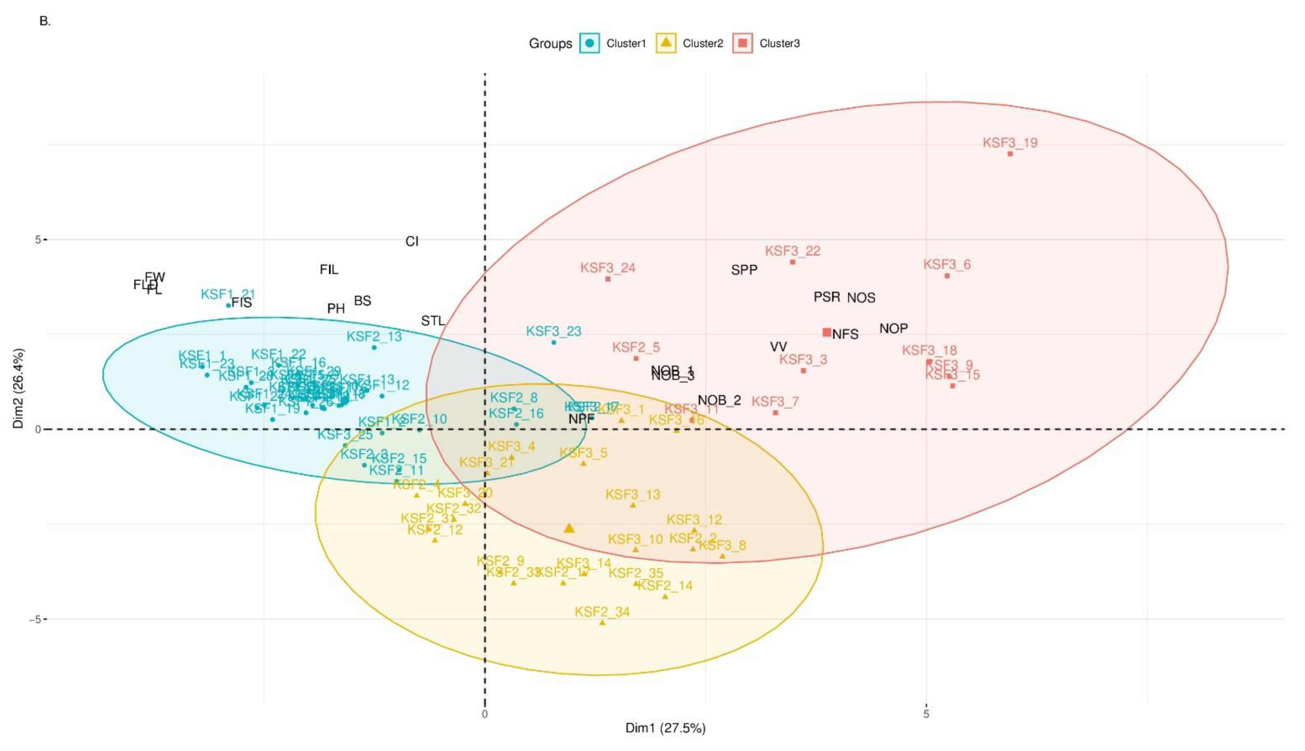 Ijms 23 10512 g001b Ijms 23 10512 g001b