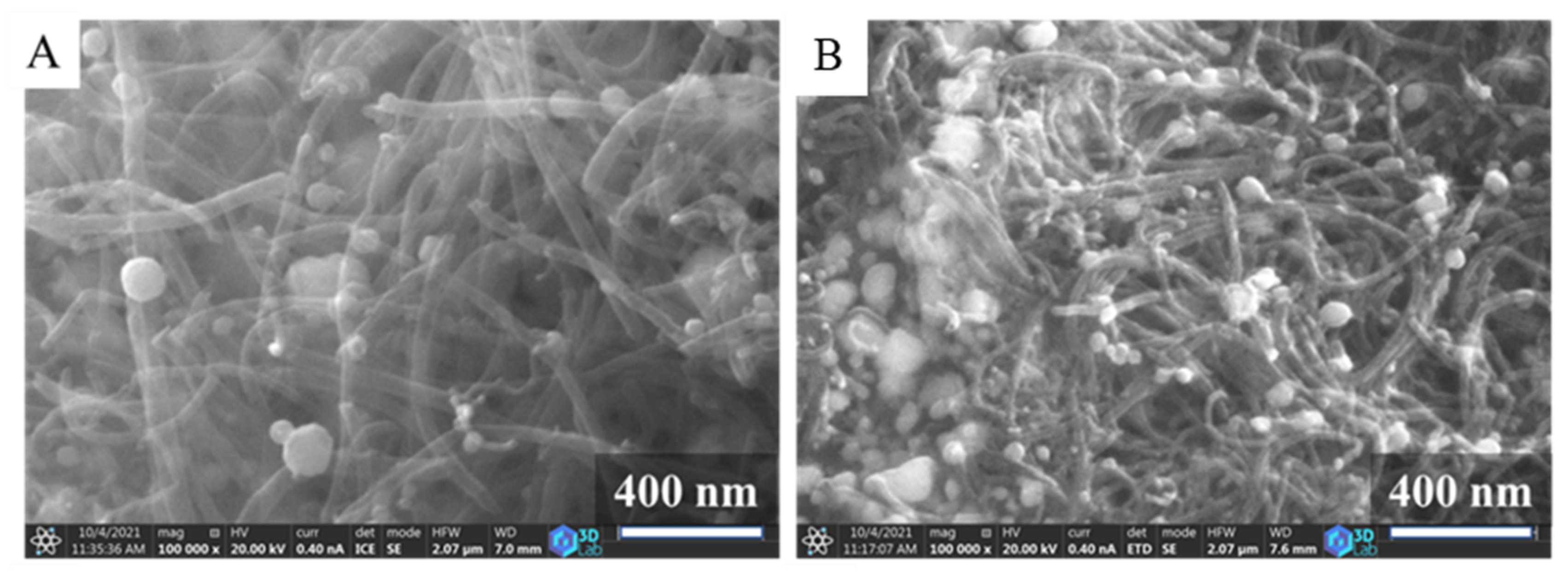 Ijms 23 10514 g002 550