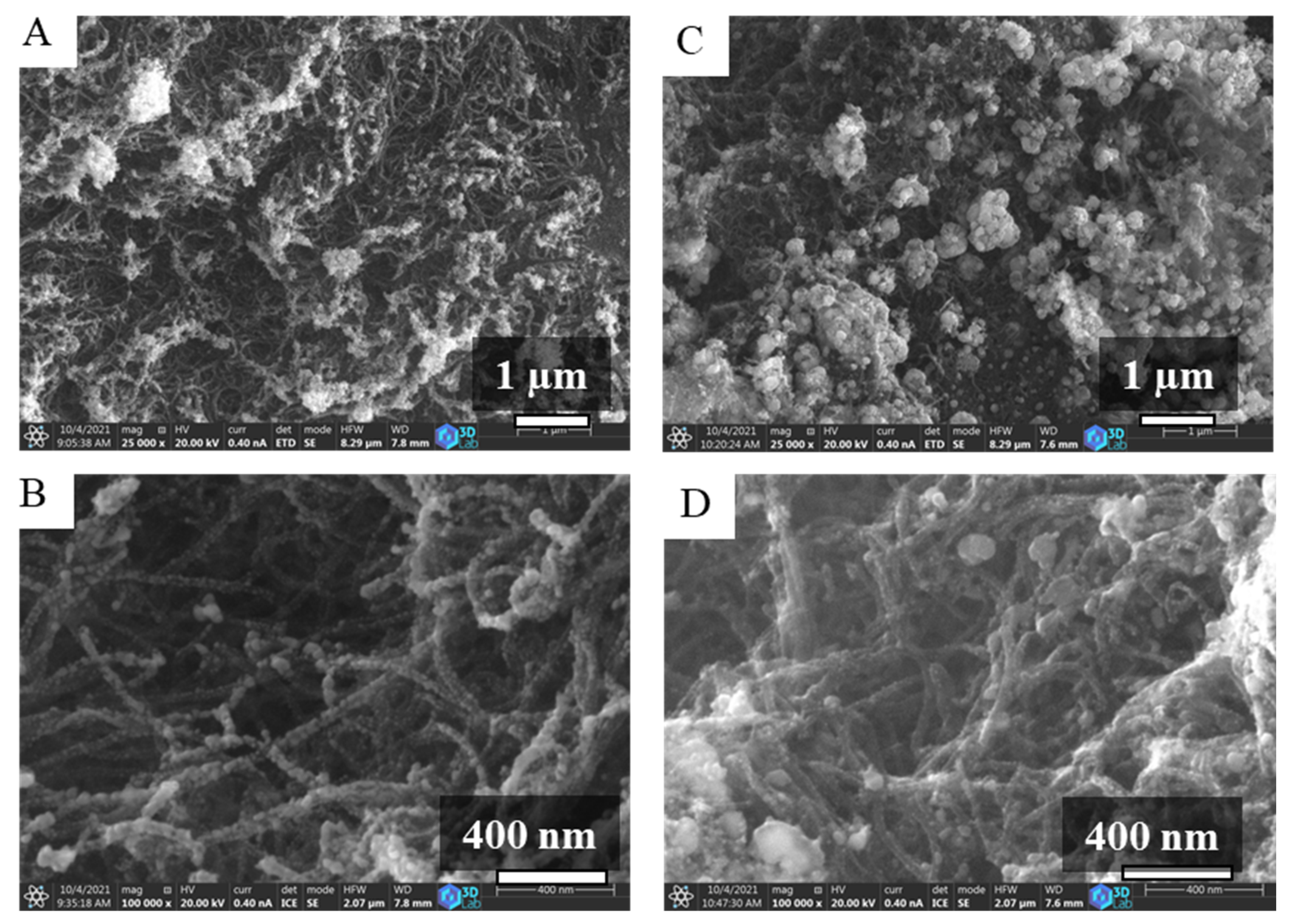 Ijms 23 10514 g004 550