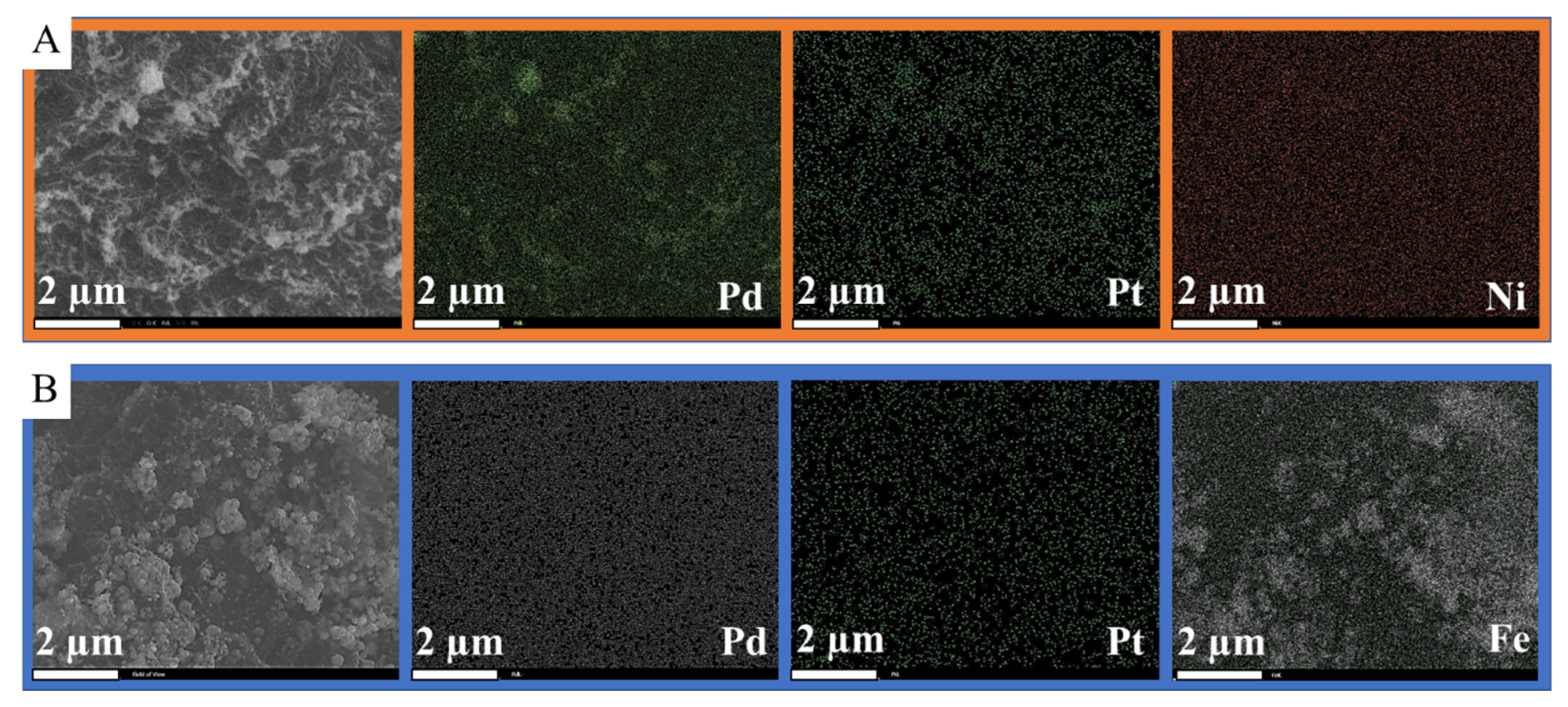 Ijms 23 10514 g005 550