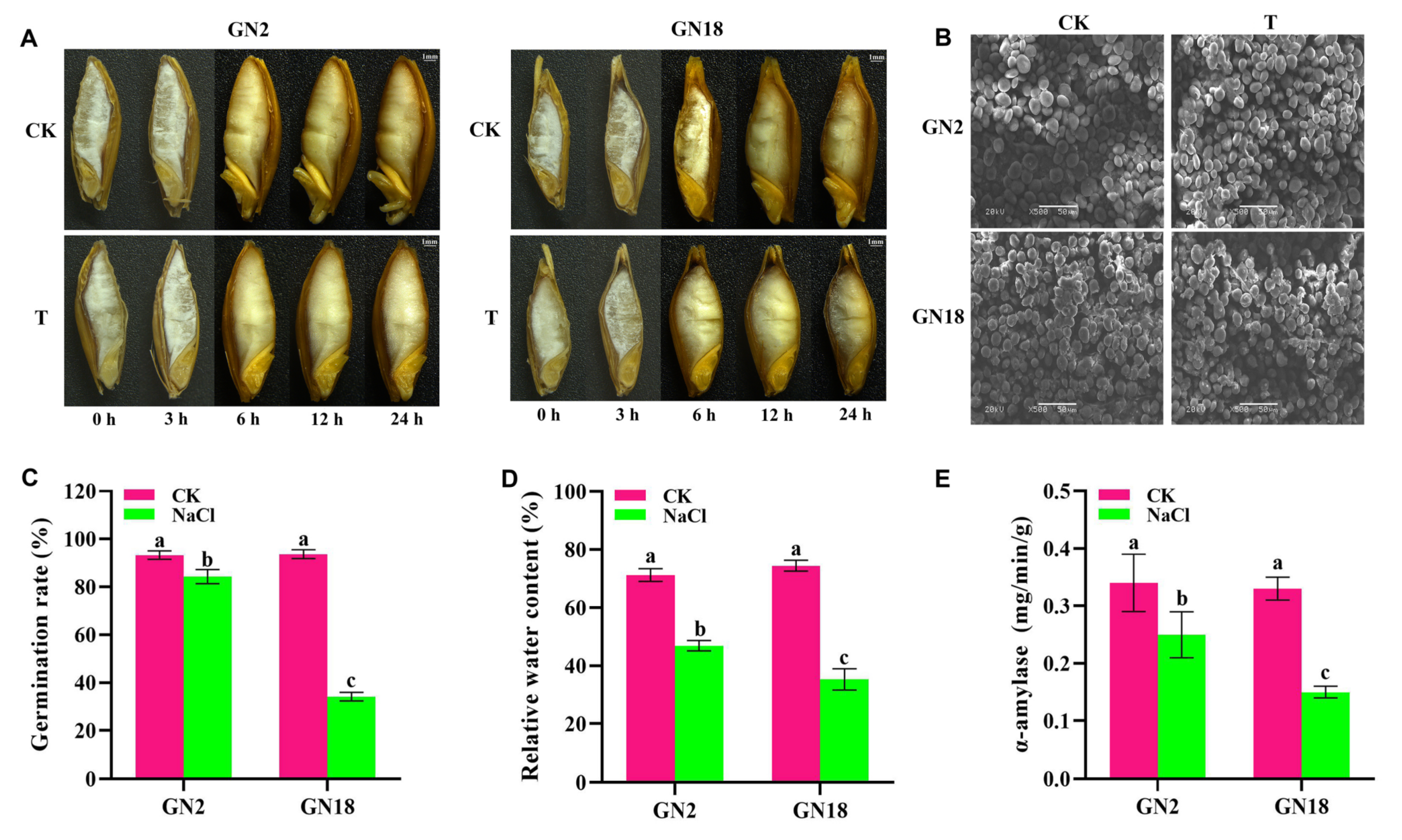 Ijms 23 10515 g001 Ijms 23 10515 g001
