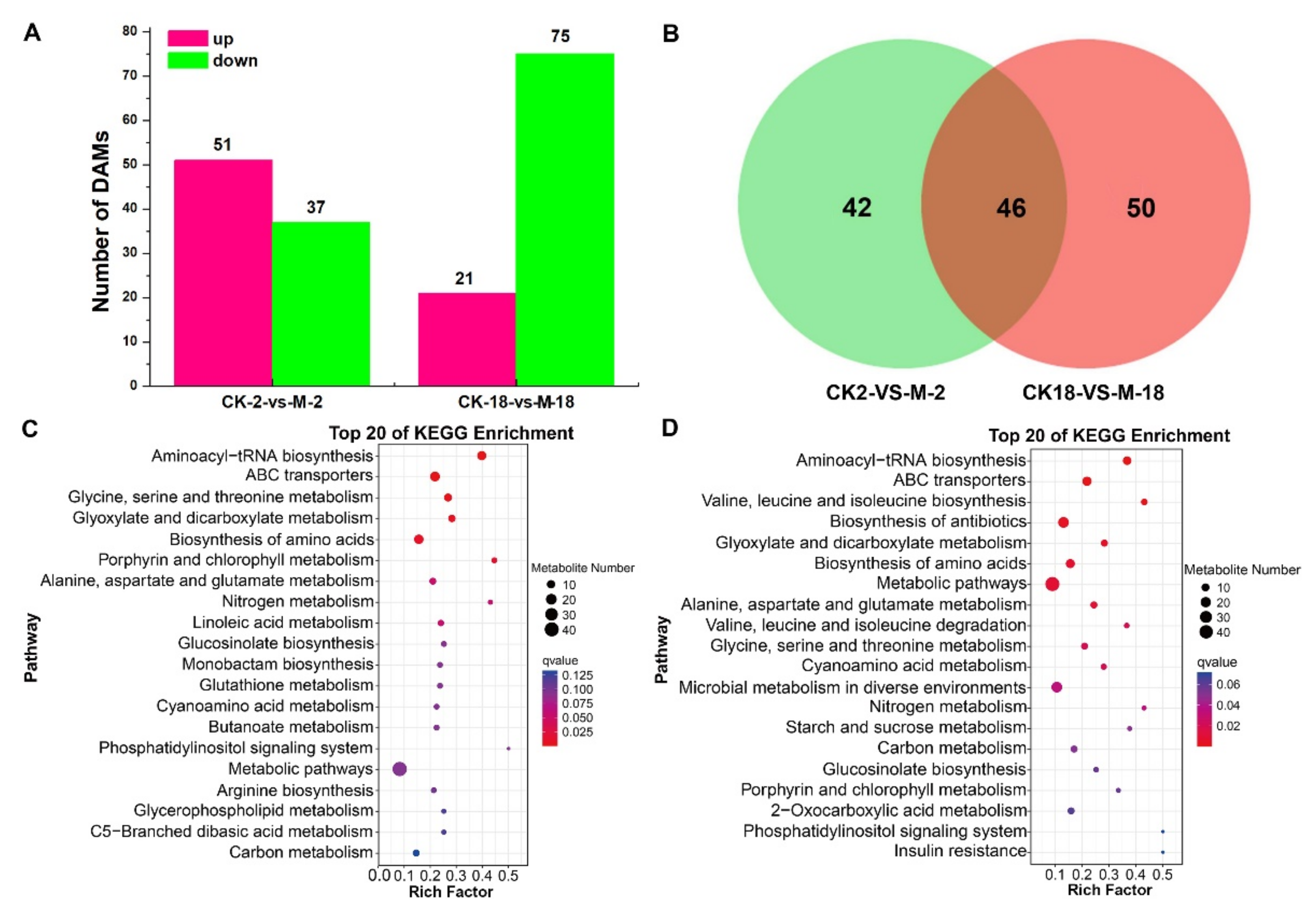 Ijms 23 10515 g006 Ijms 23 10515 g006