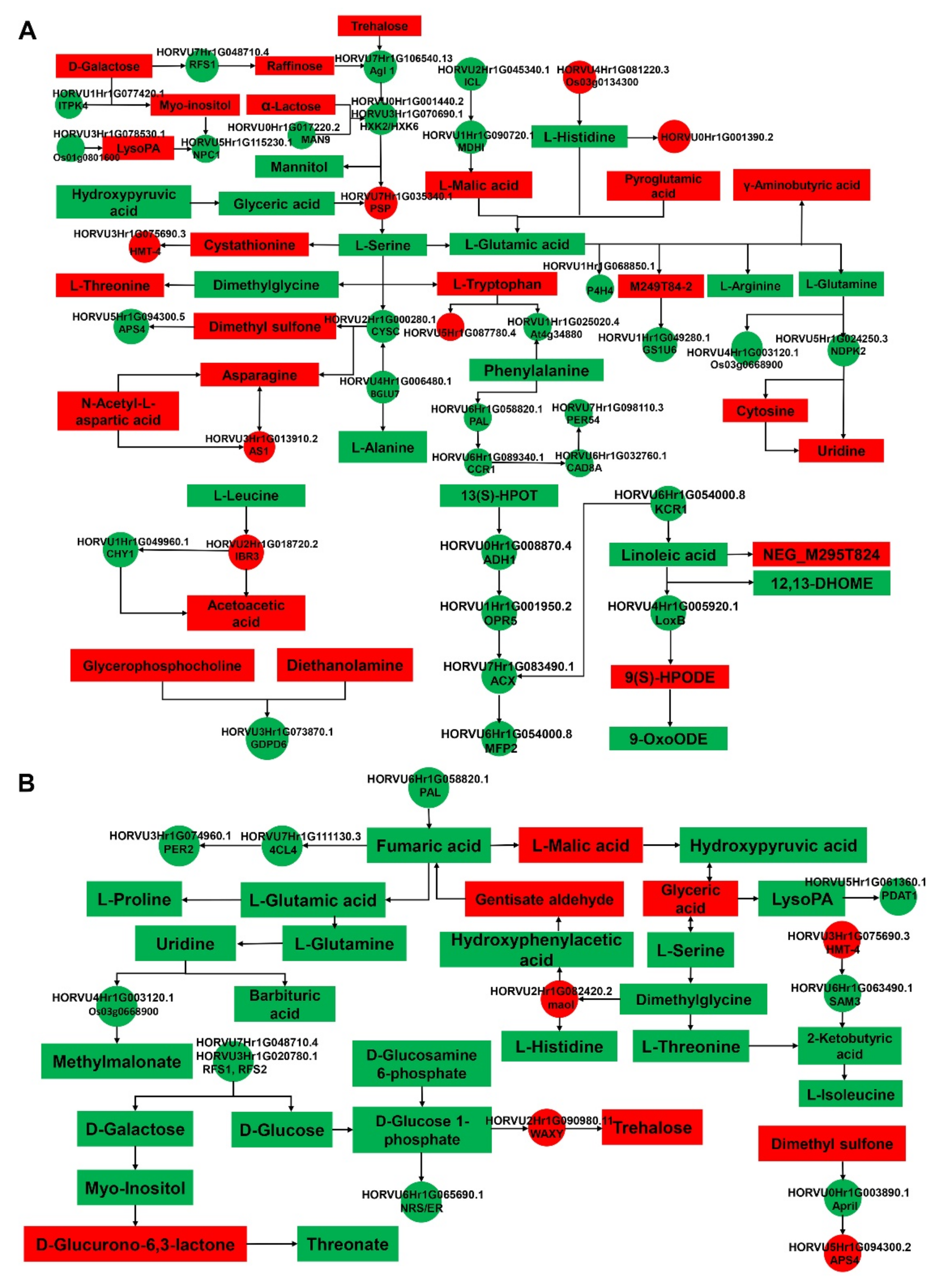 Ijms 23 10515 g007 Ijms 23 10515 g007