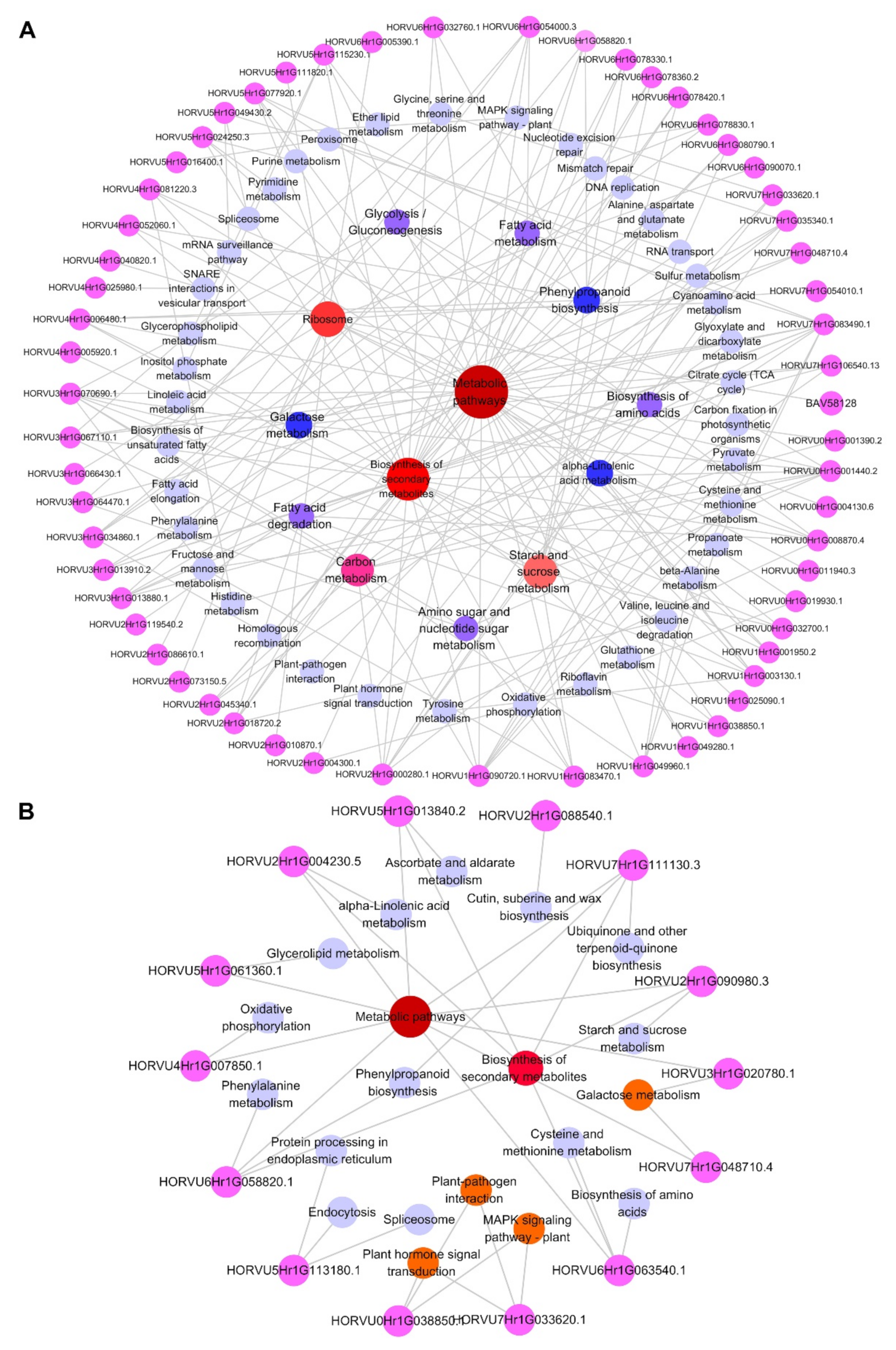 Ijms 23 10515 g008 Ijms 23 10515 g008