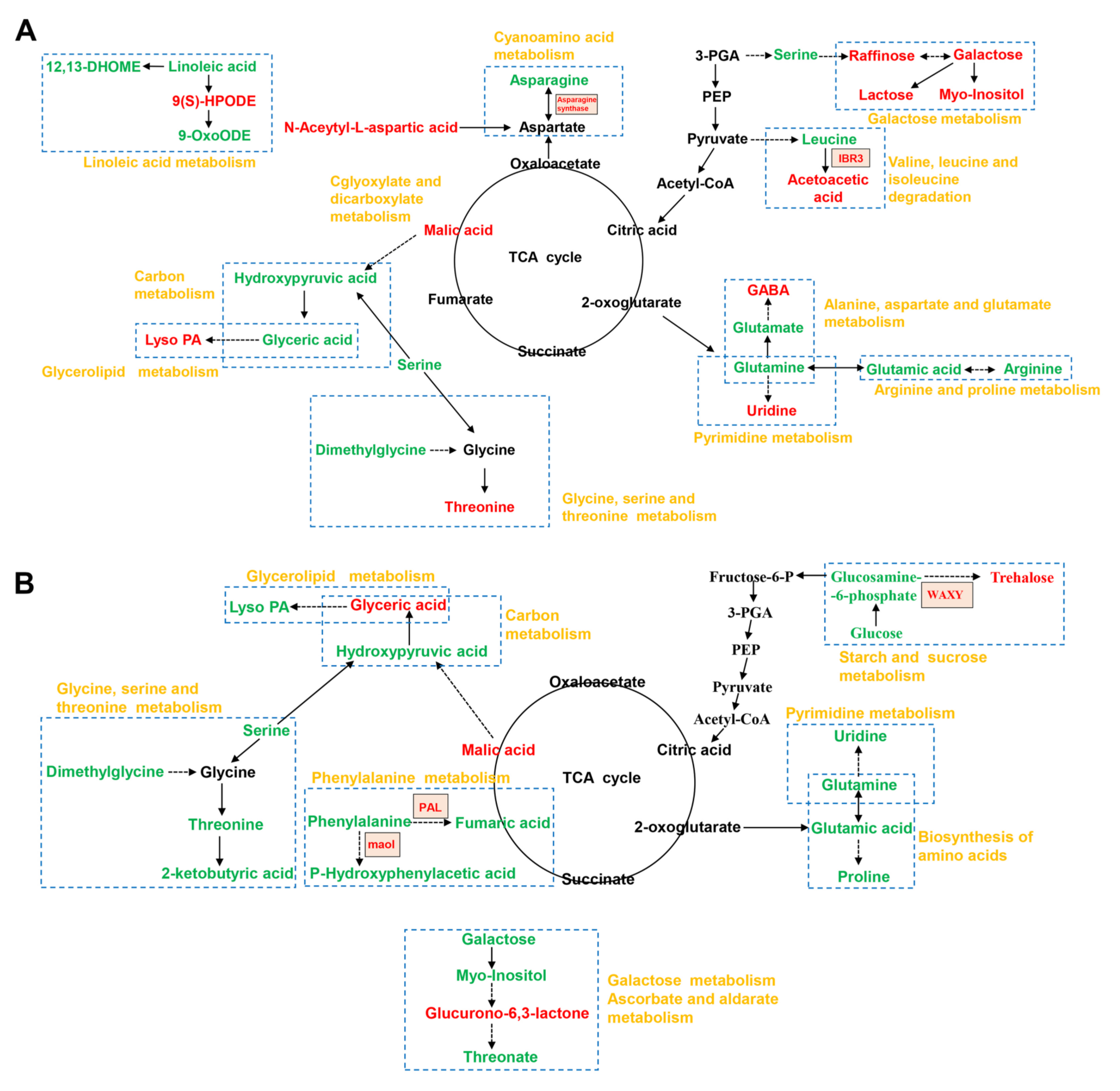 Ijms 23 10515 g009 Ijms 23 10515 g009