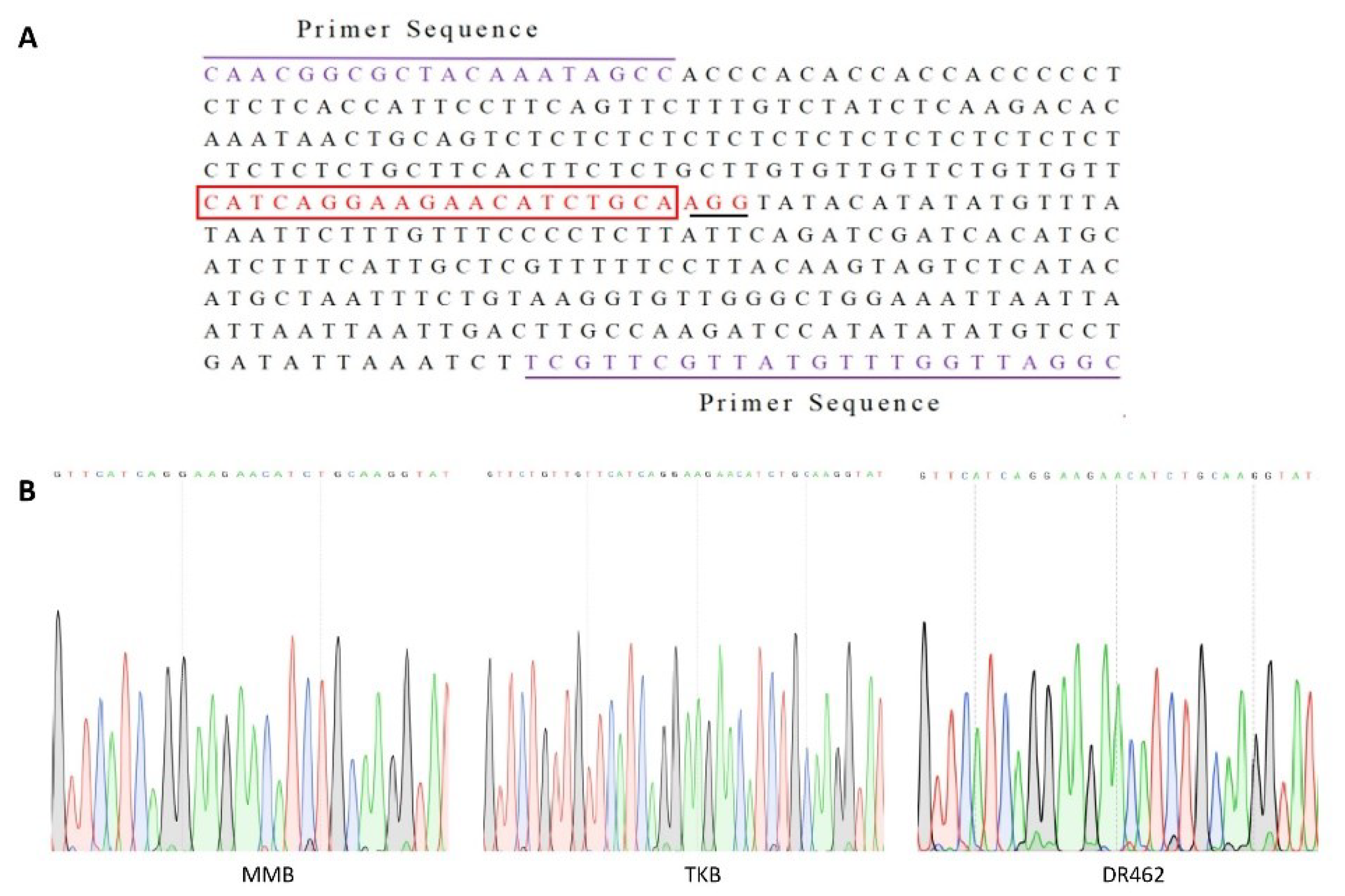 Ijms 23 10517 g001 550