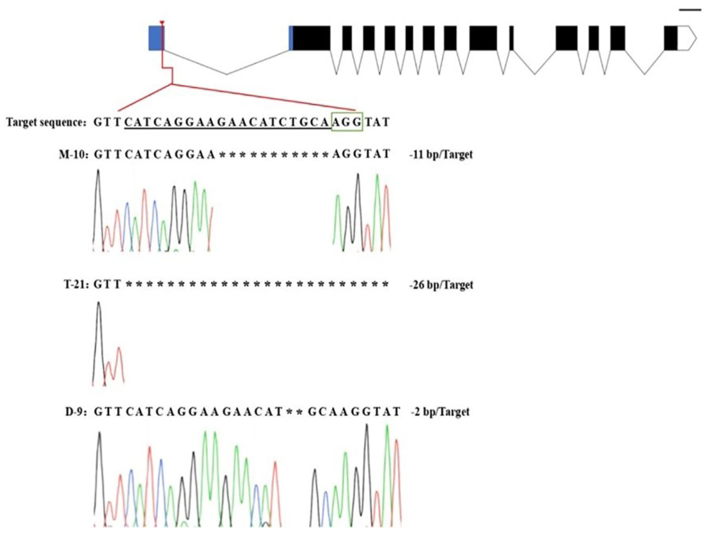 Ijms 23 10517 g005 550