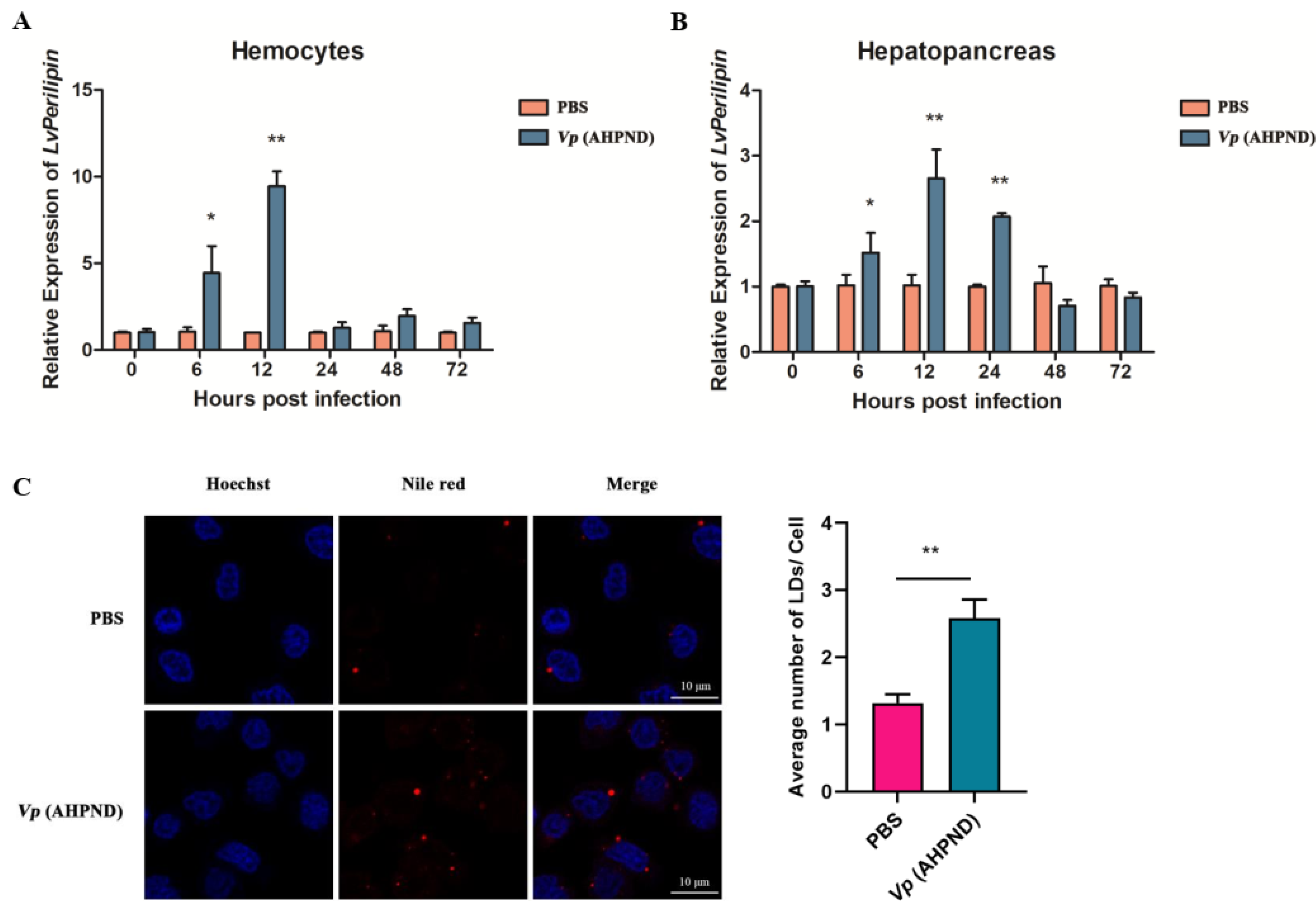 Ijms 23 10520 g002 550