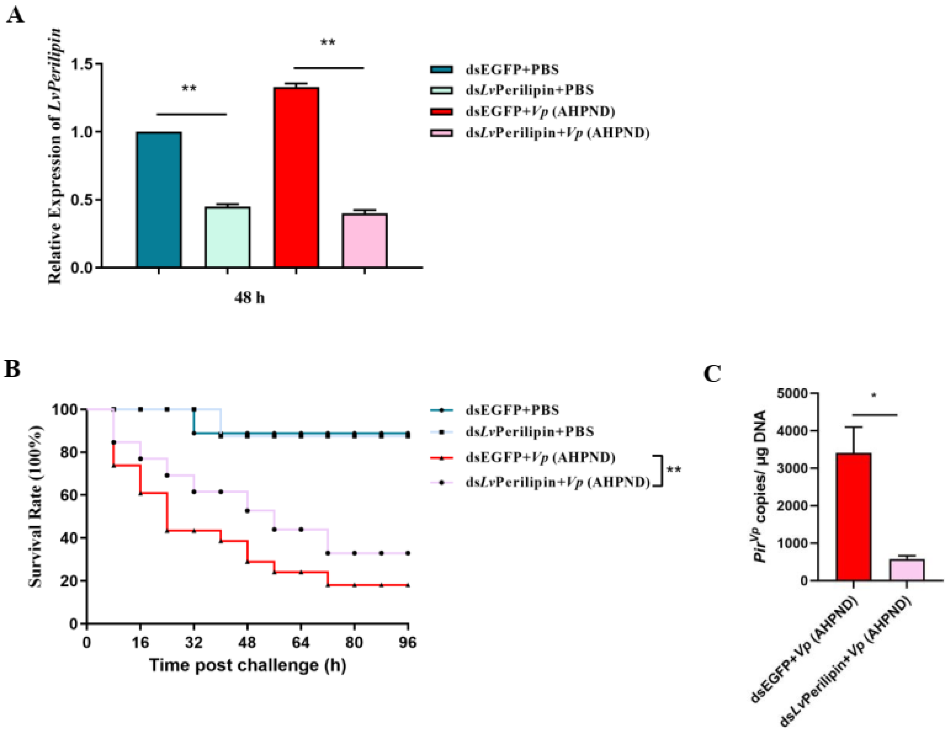 Ijms 23 10520 g003 550