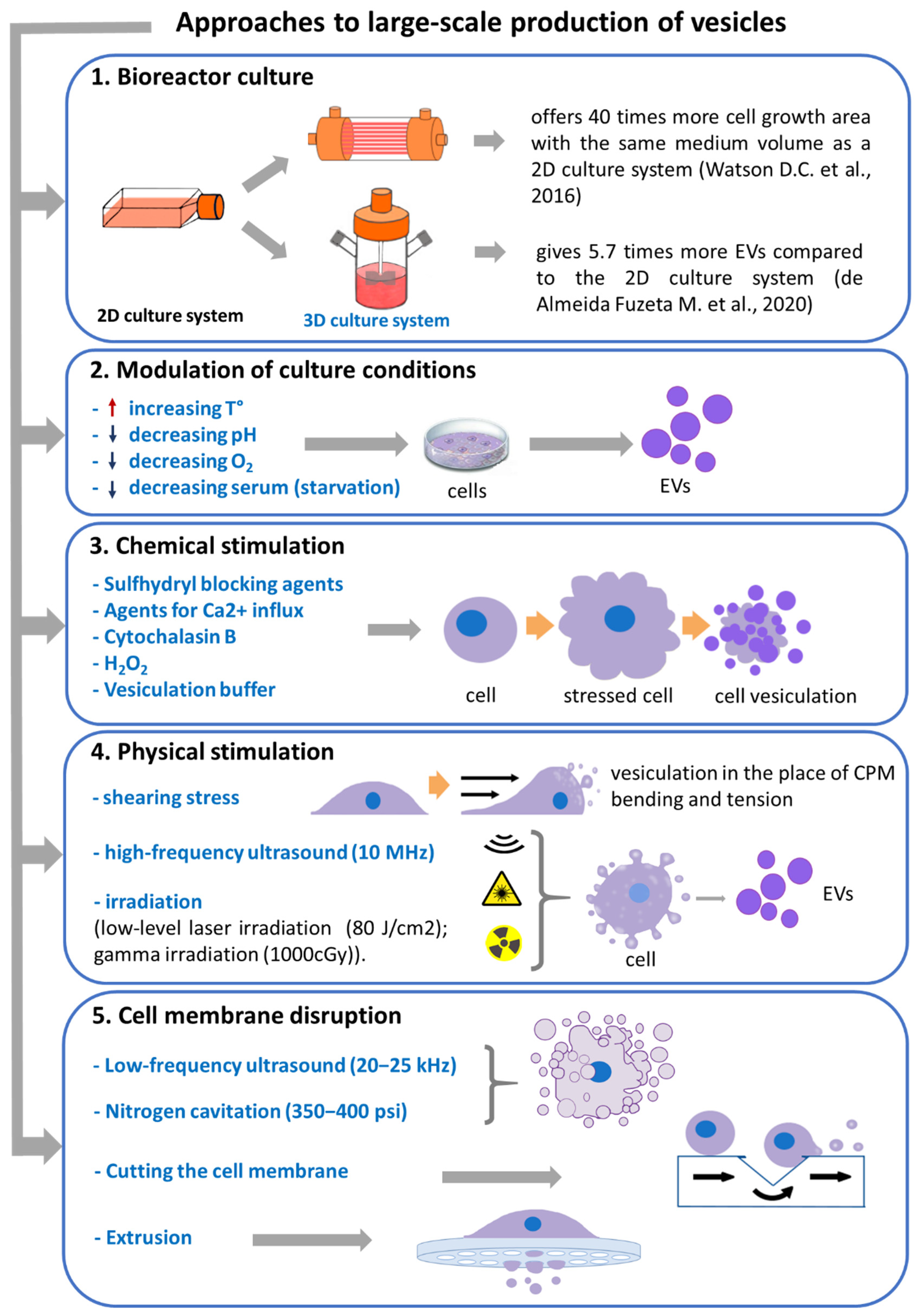 Ijms 23 10522 g001 550