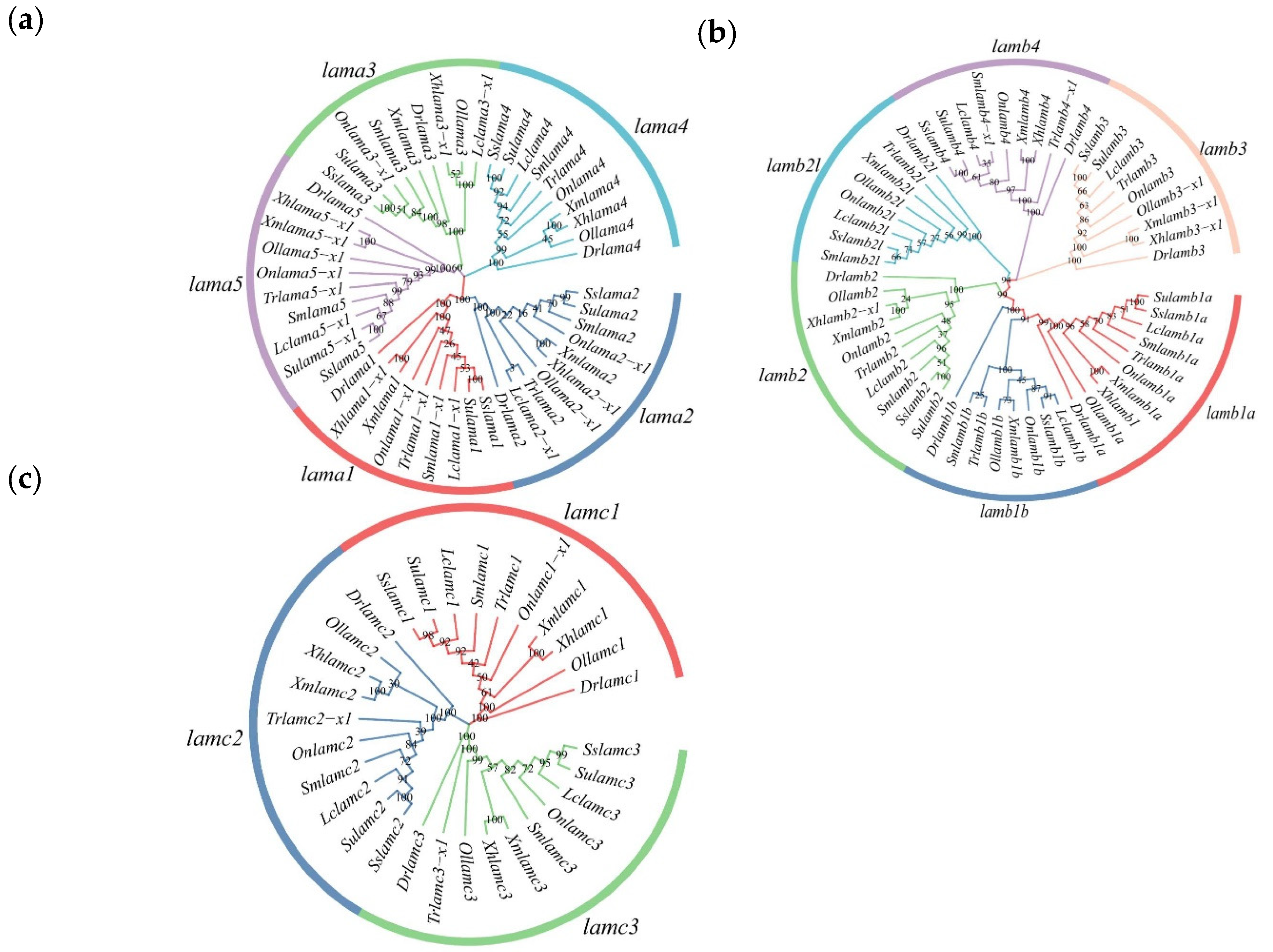 Ijms 23 10523 g001 550