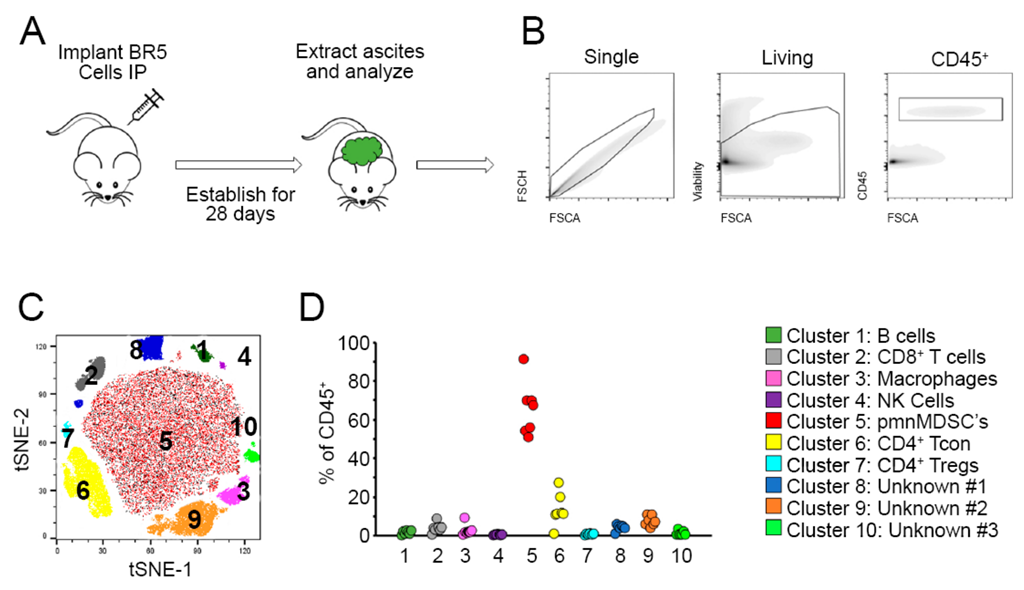 Ijms 23 10525 g001 550