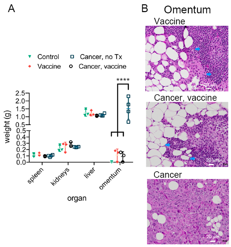 Ijms 23 10525 g006 550