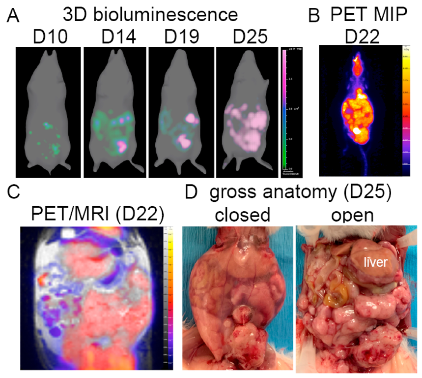 Ijms 23 10525 g007 550