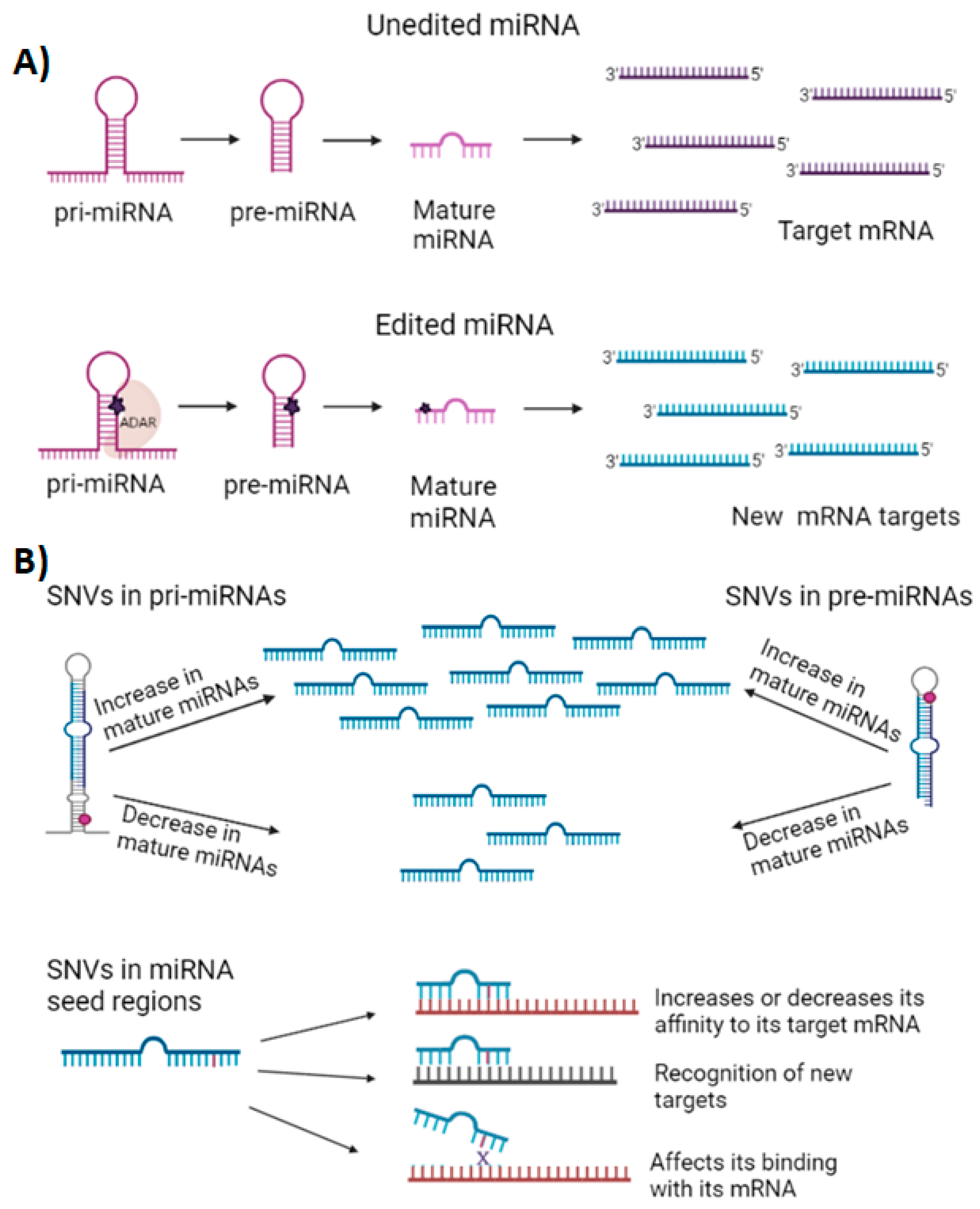 Ijms 23 10526 g001 Ijms 23 10526 g001