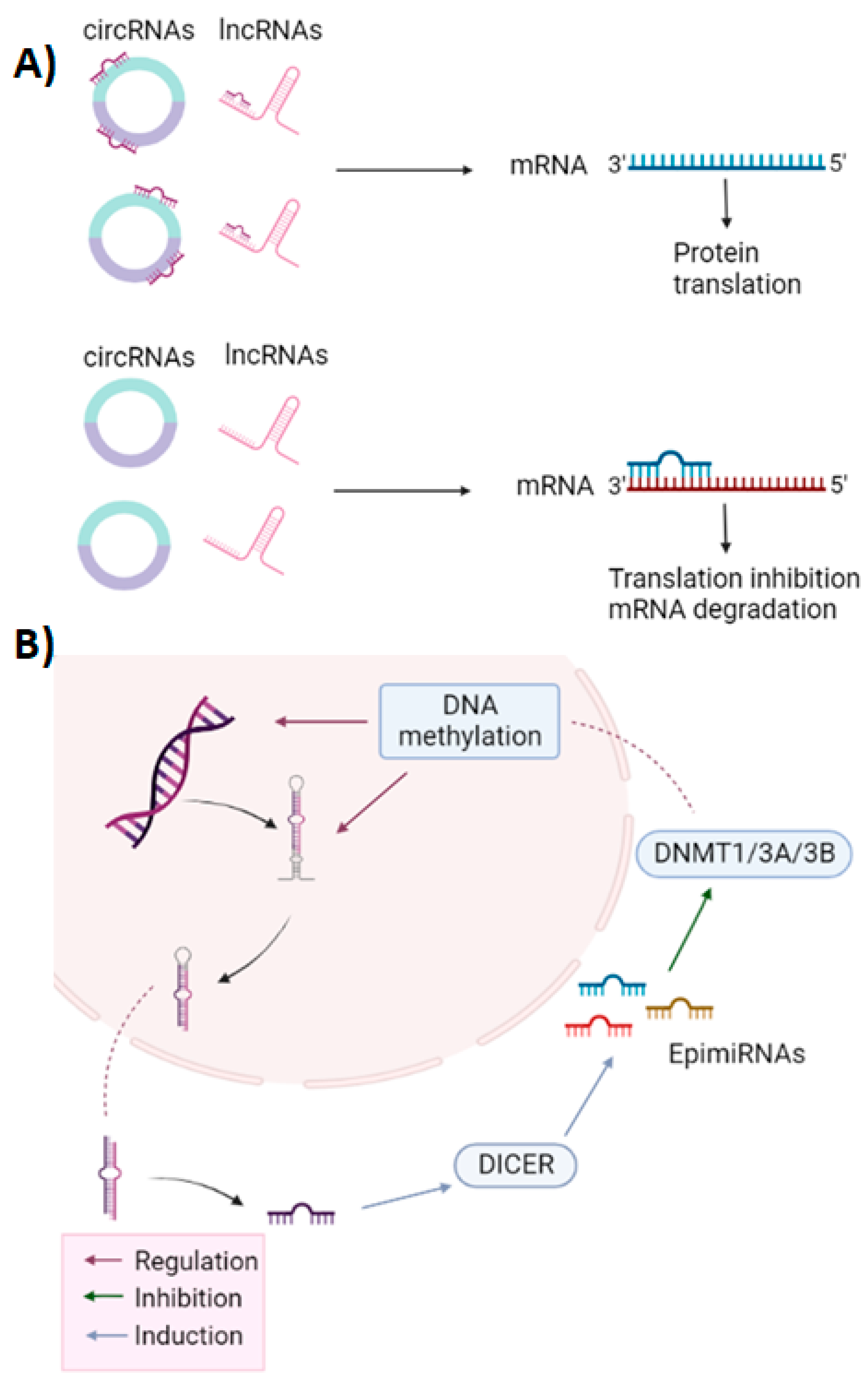 Ijms 23 10526 g002 Ijms 23 10526 g002