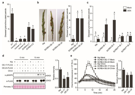Y‼️ Adidas Y-3 Men ZX Run black footwear white