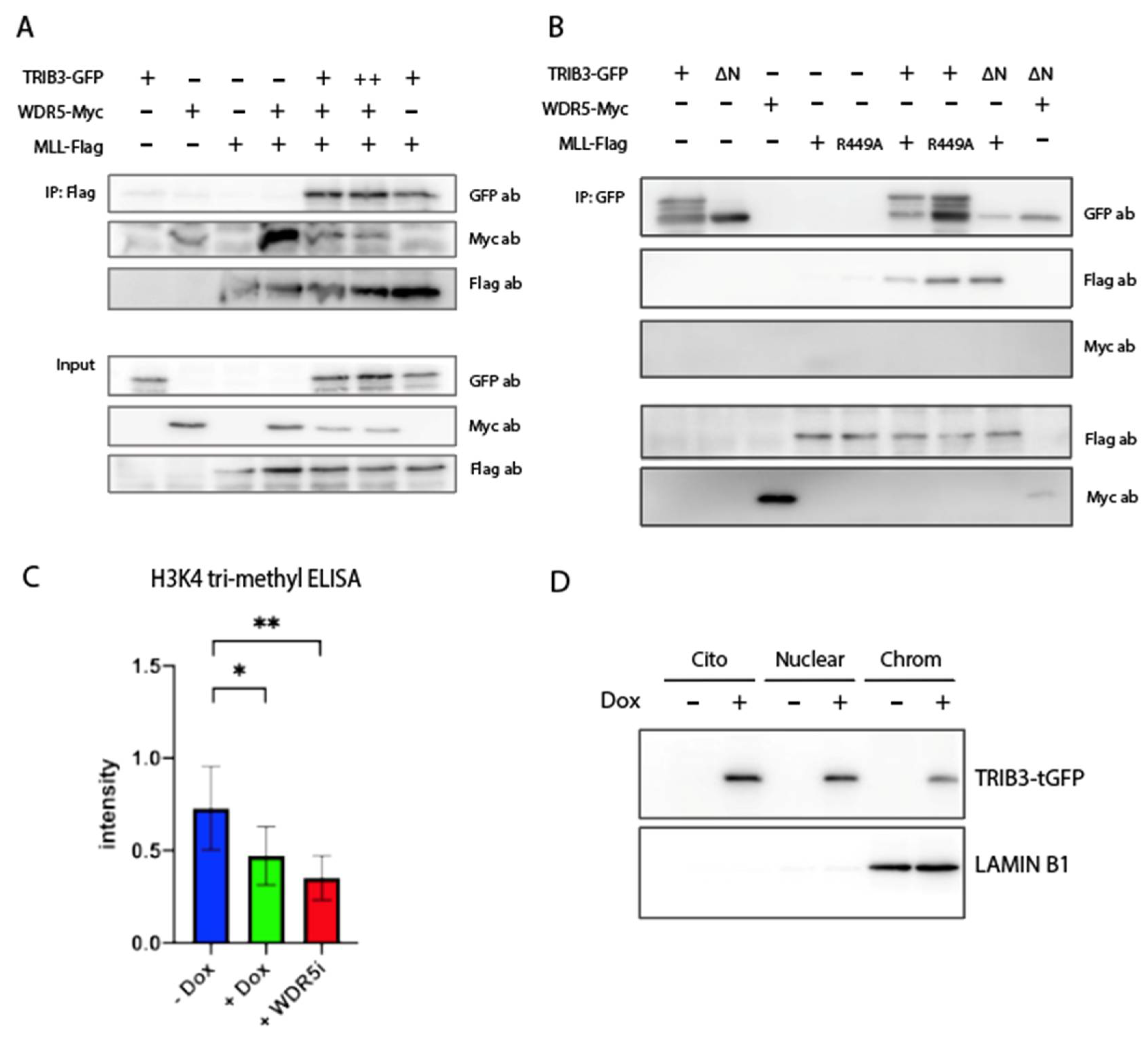 Ijms 23 10535 g004 Ijms 23 10535 g004