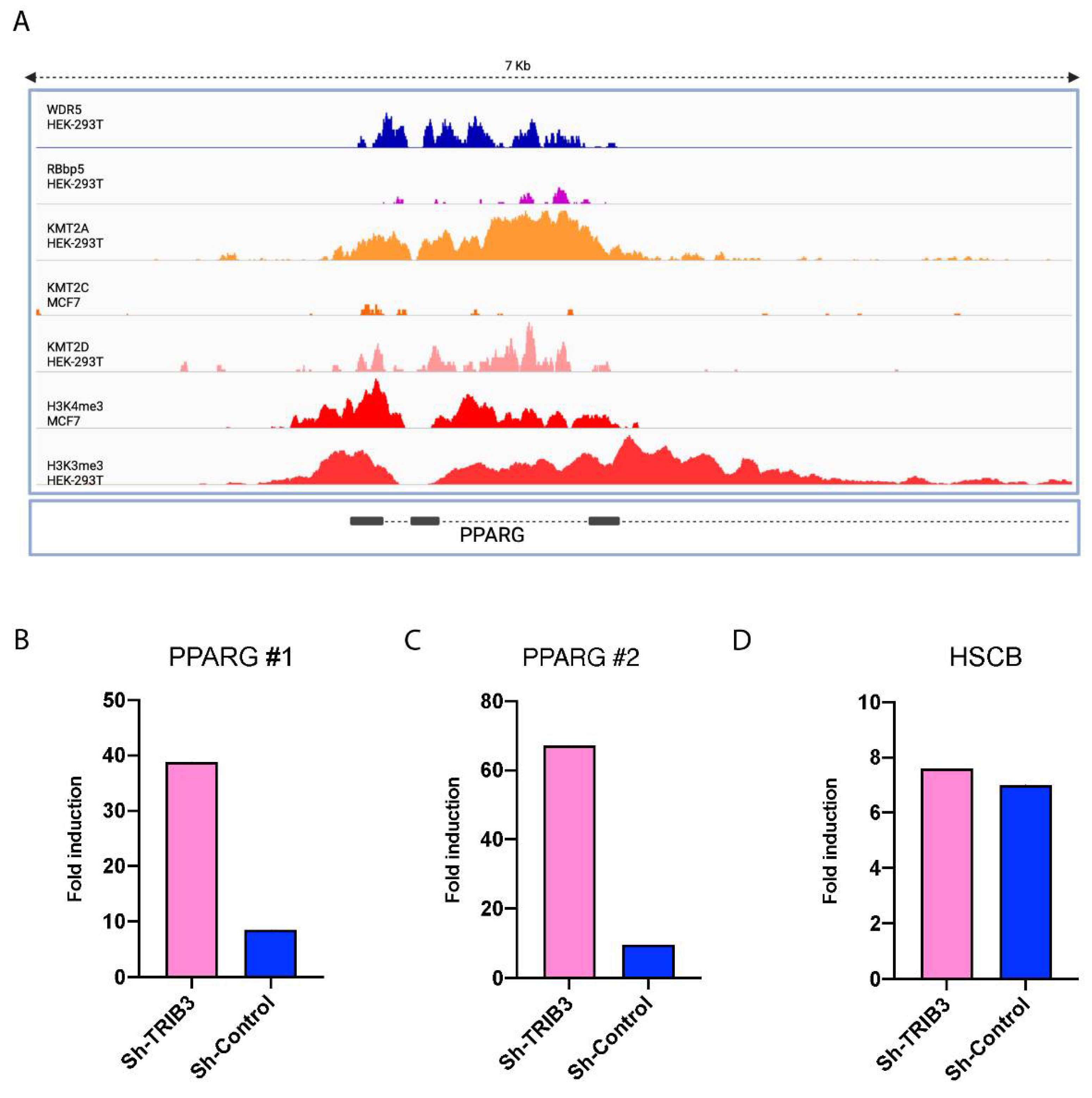 Ijms 23 10535 g005 Ijms 23 10535 g005