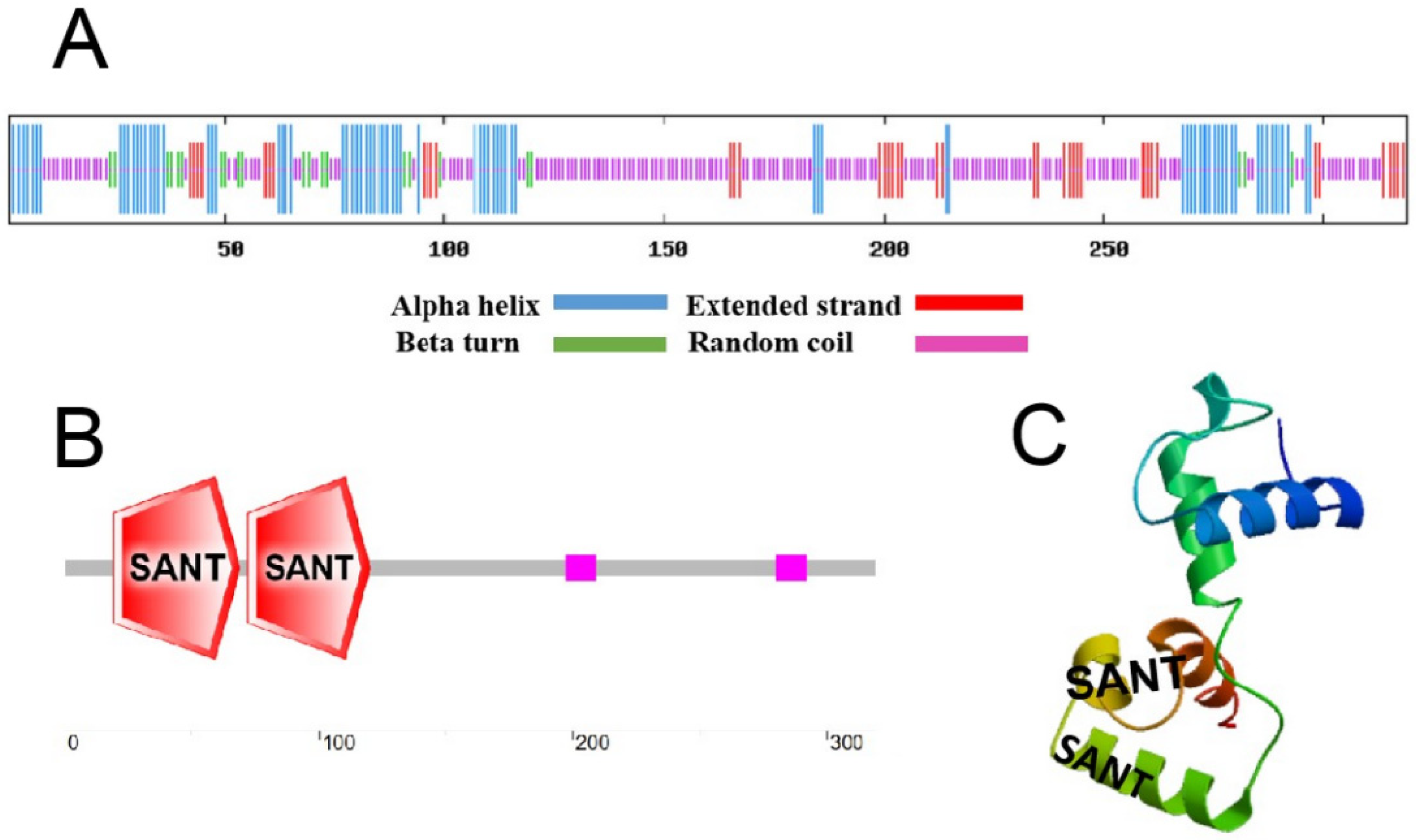 Ijms 23 10538 g002 550