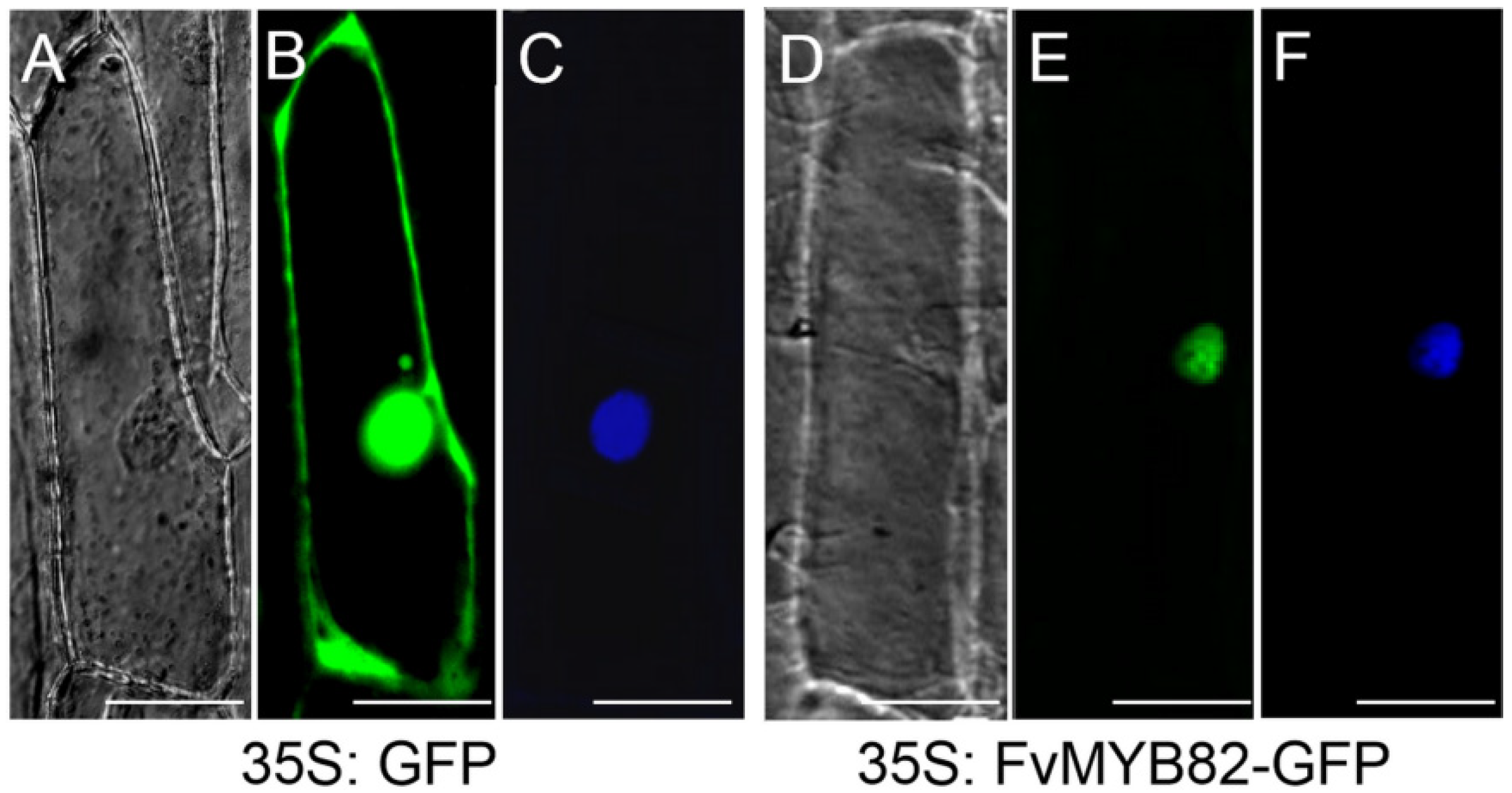 Ijms 23 10538 g003 550