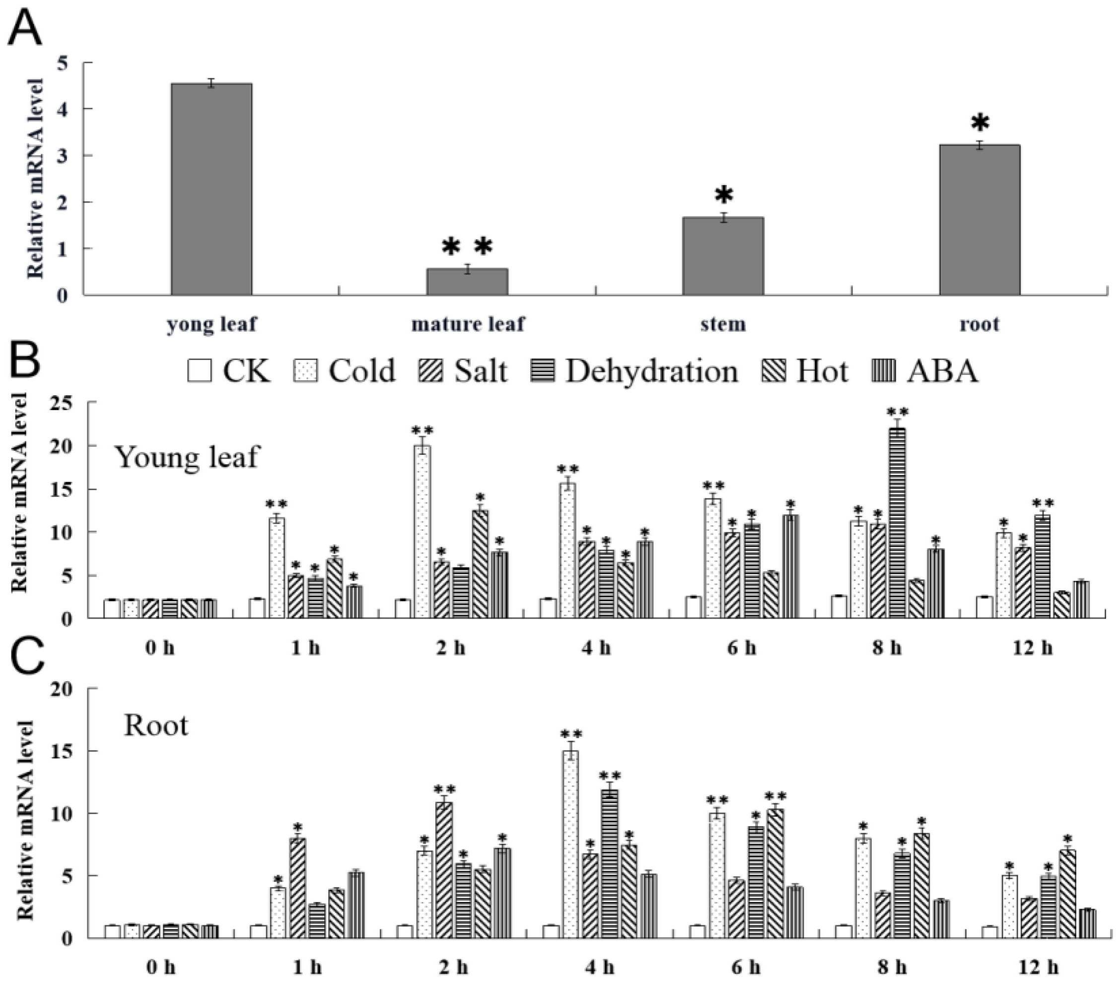 Ijms 23 10538 g004 550