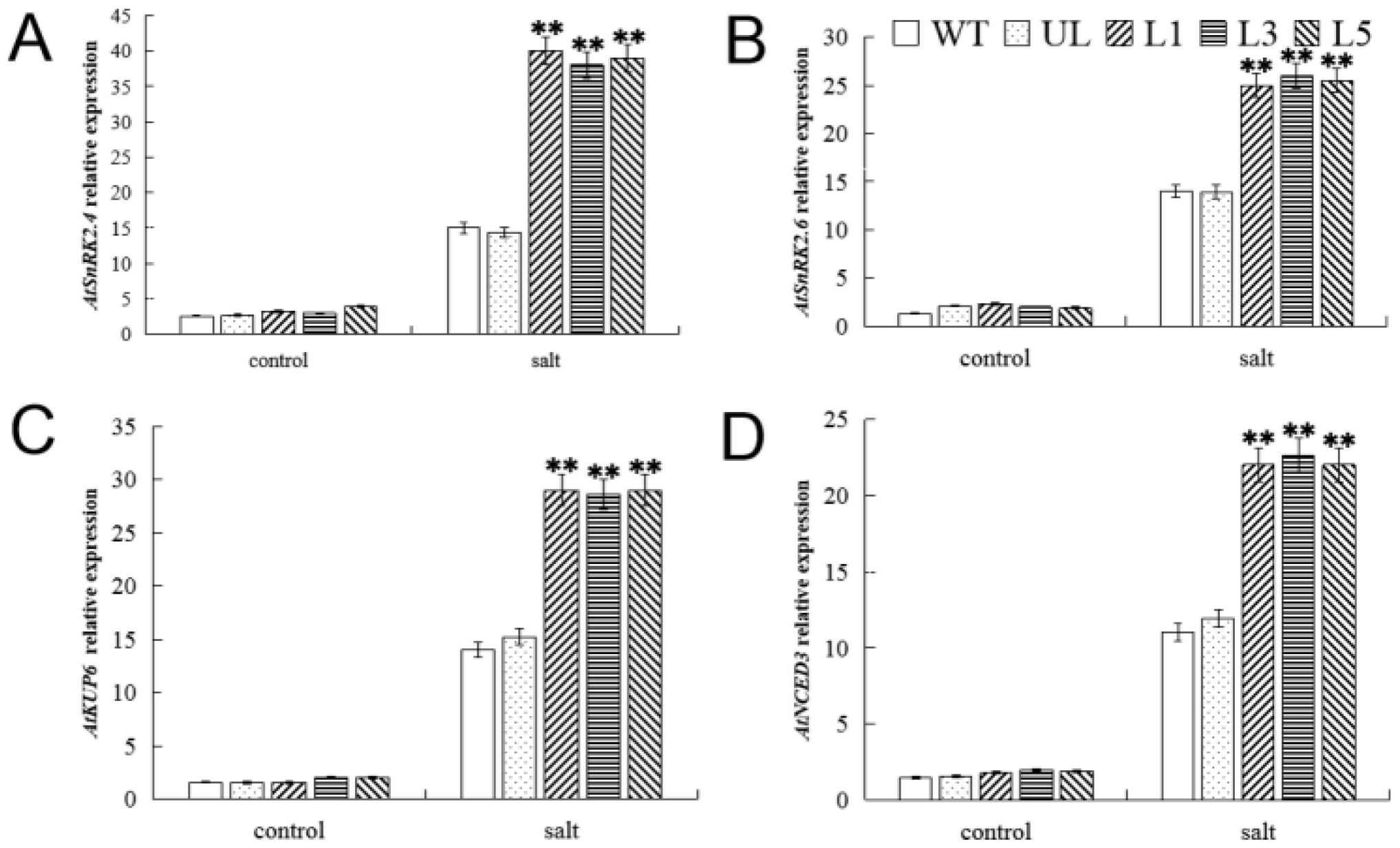 Ijms 23 10538 g007 550