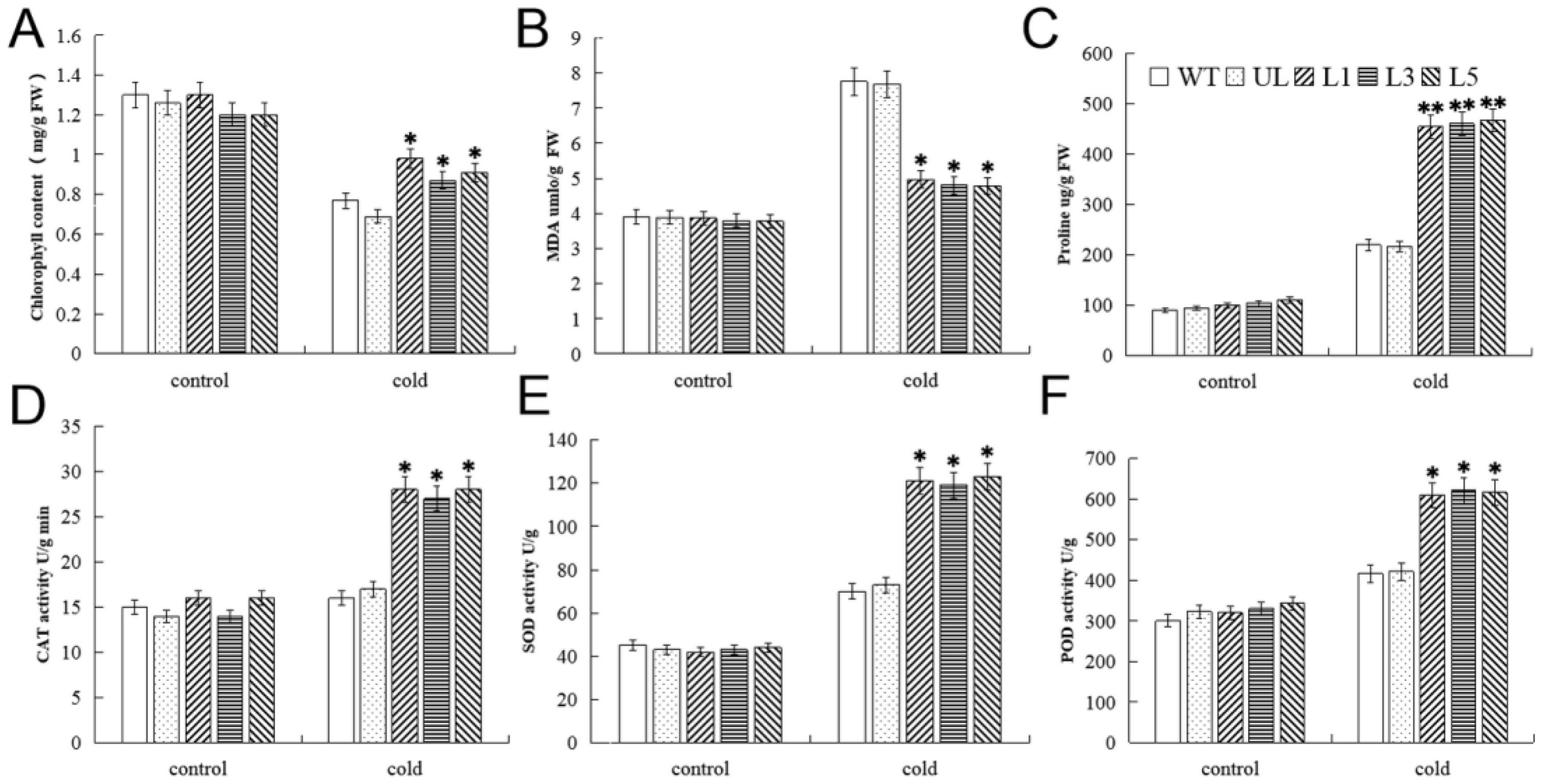 Ijms 23 10538 g009 550