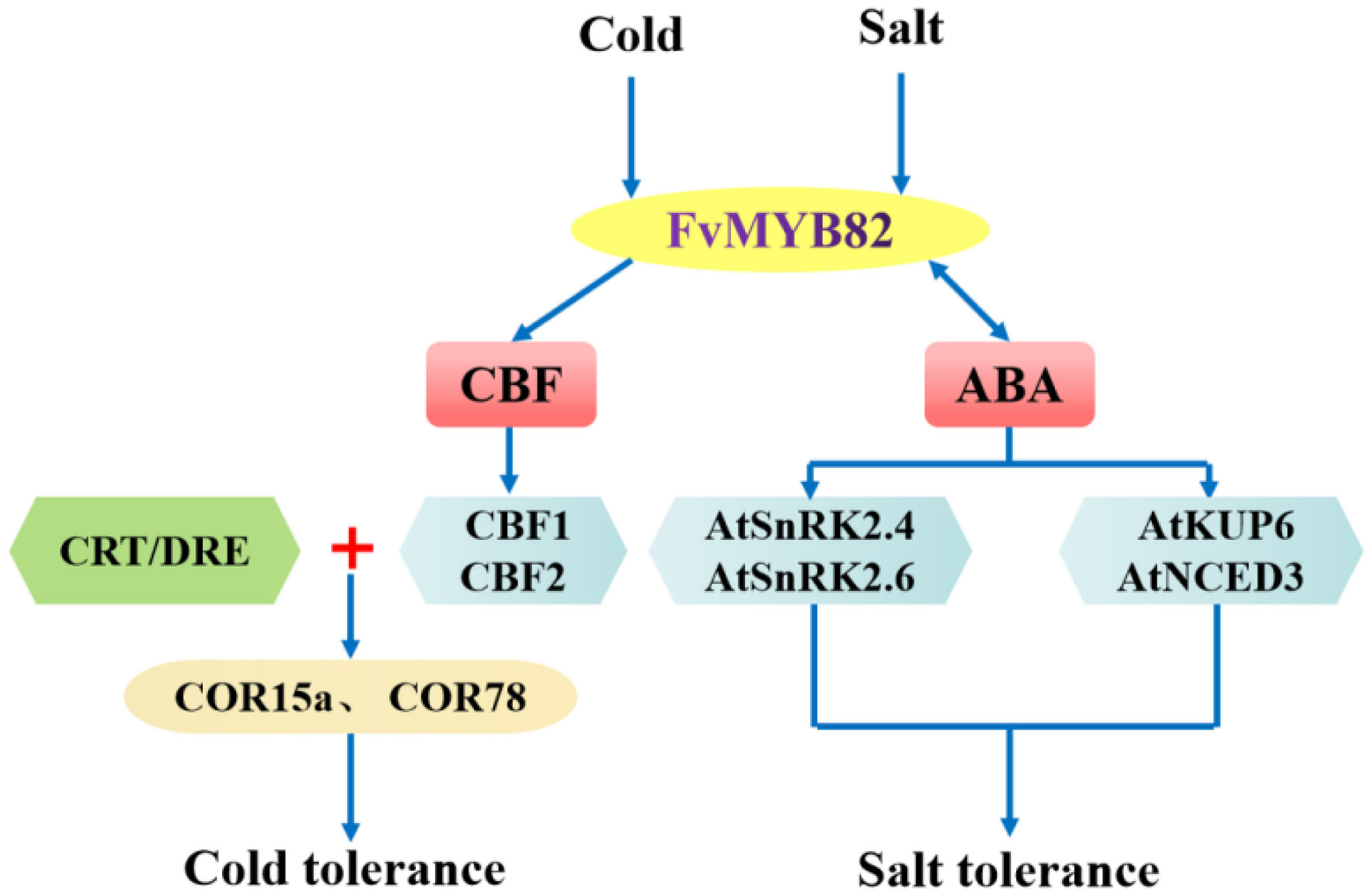 Ijms 23 10538 g011 550
