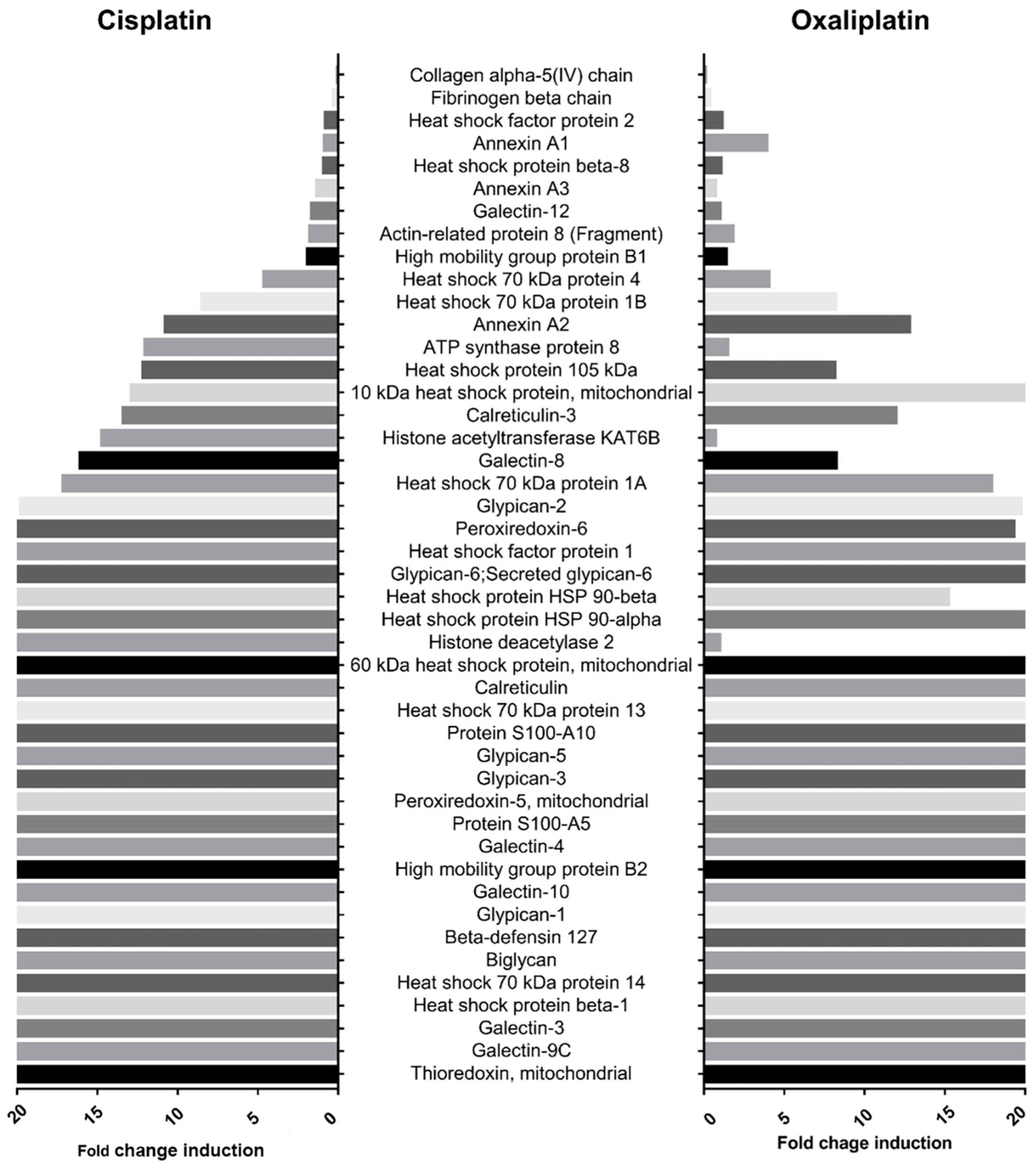 Ijms 23 10540 g002 550