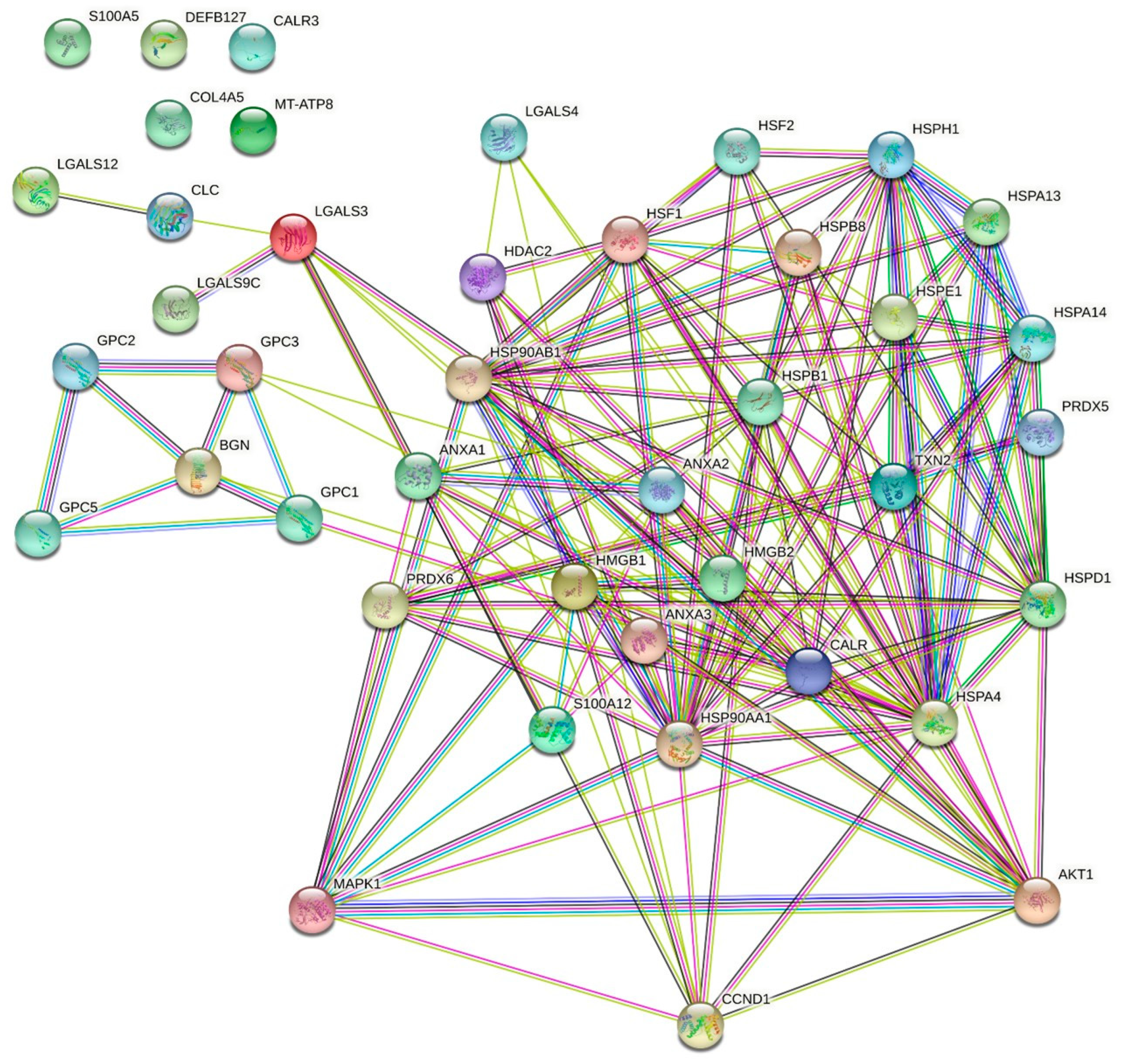 Ijms 23 10540 g006 550