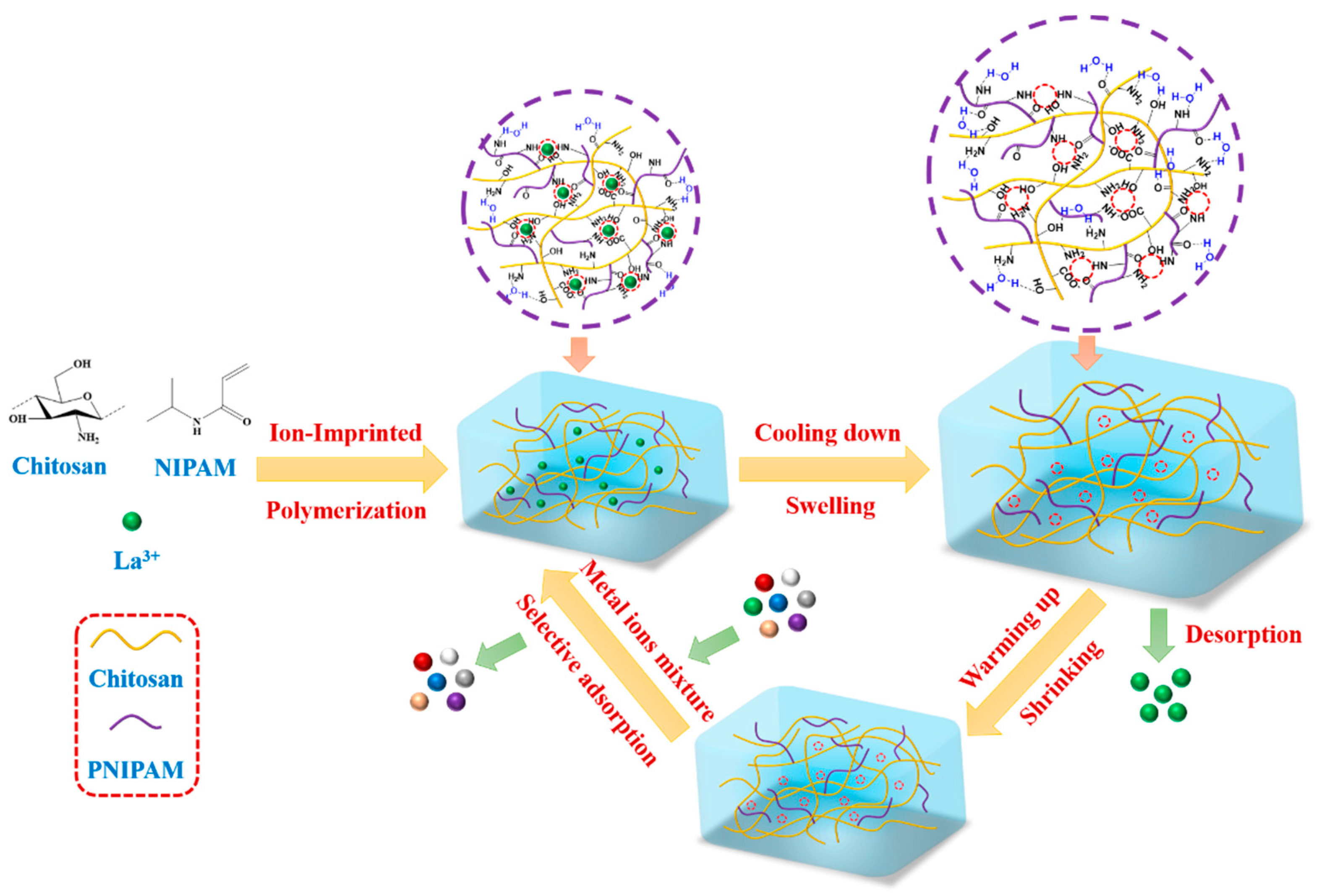 Ijms 23 10542 g001 550