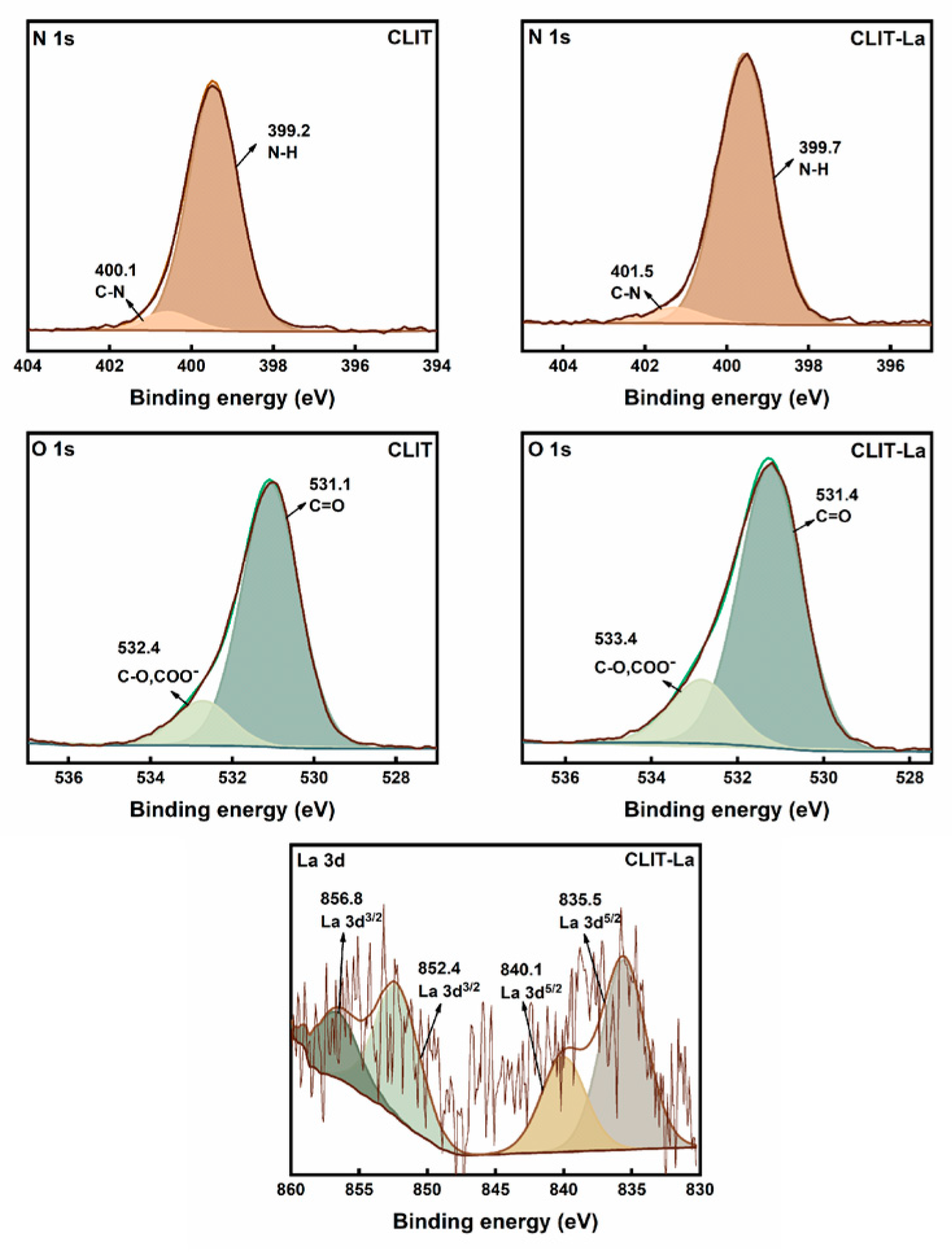 Ijms 23 10542 g003 550