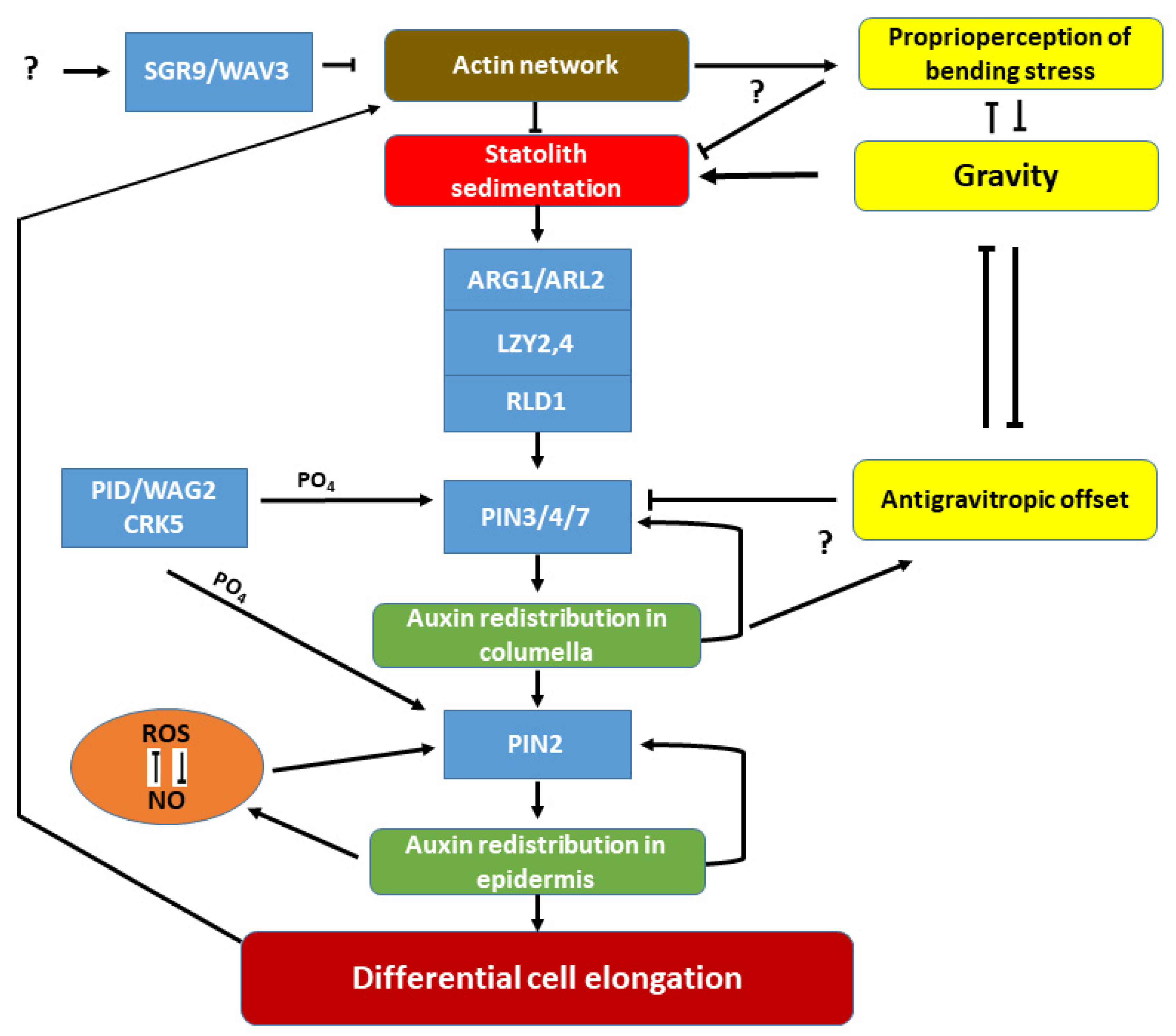 Ijms 23 10548 g002 550