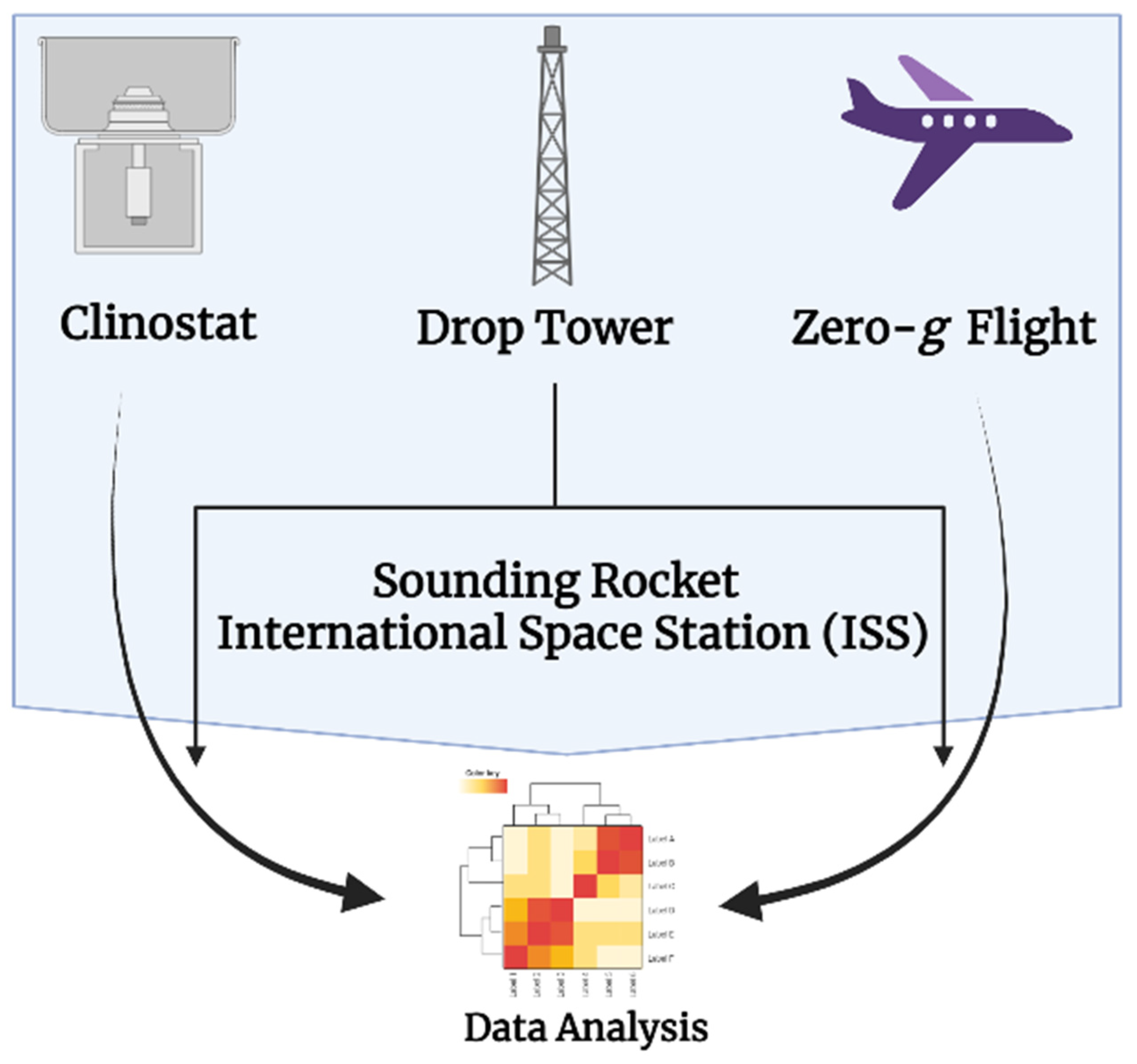 Ijms 23 10548 g003 550