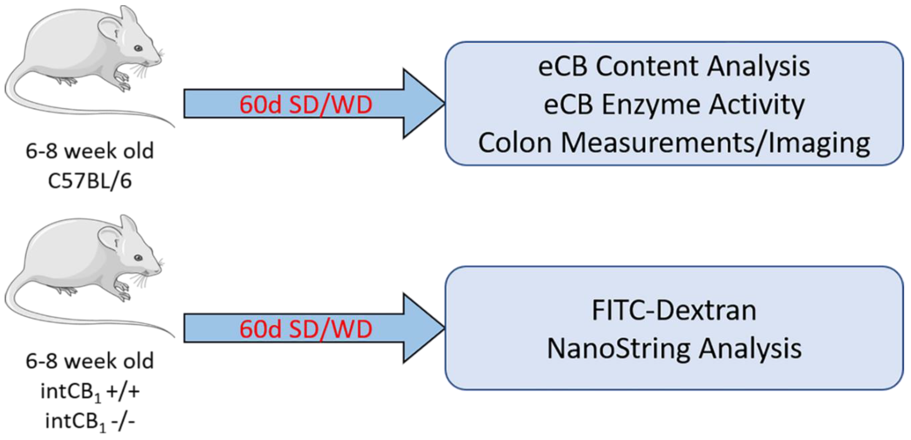 Ijms 23 10549 g001 550
