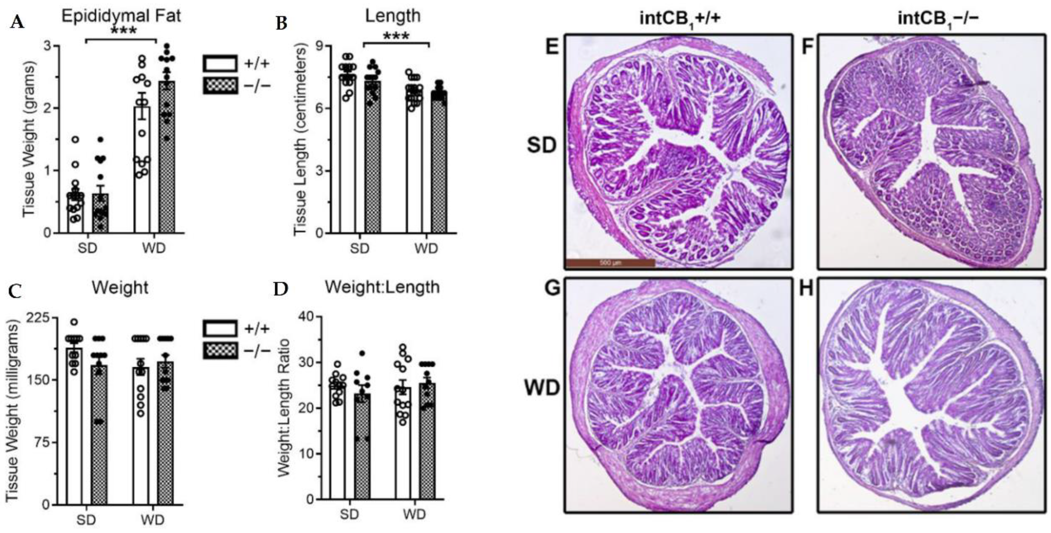 Ijms 23 10549 g004 550