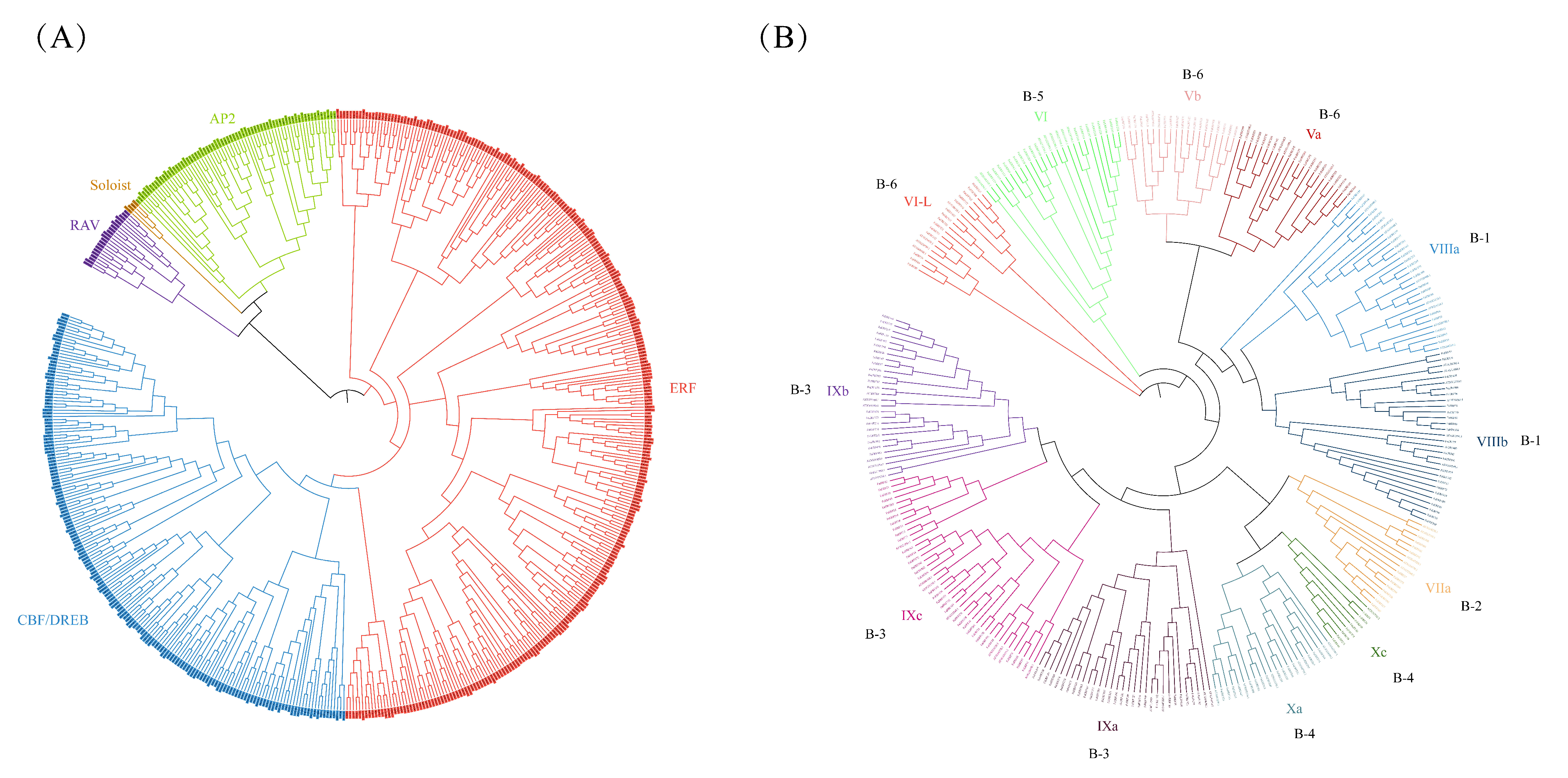 Ijms 23 10550 g001 550
