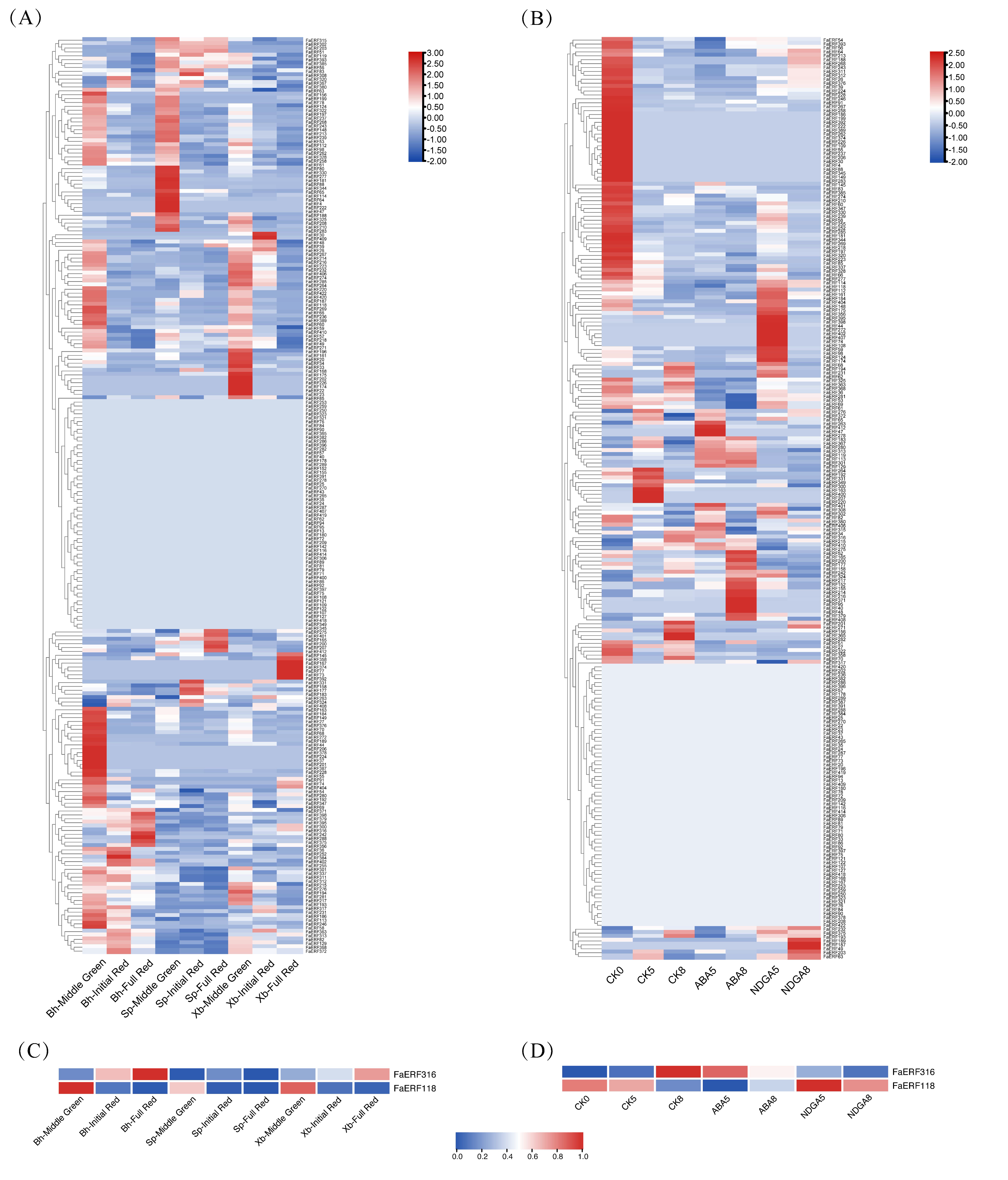 Ijms 23 10550 g005 550
