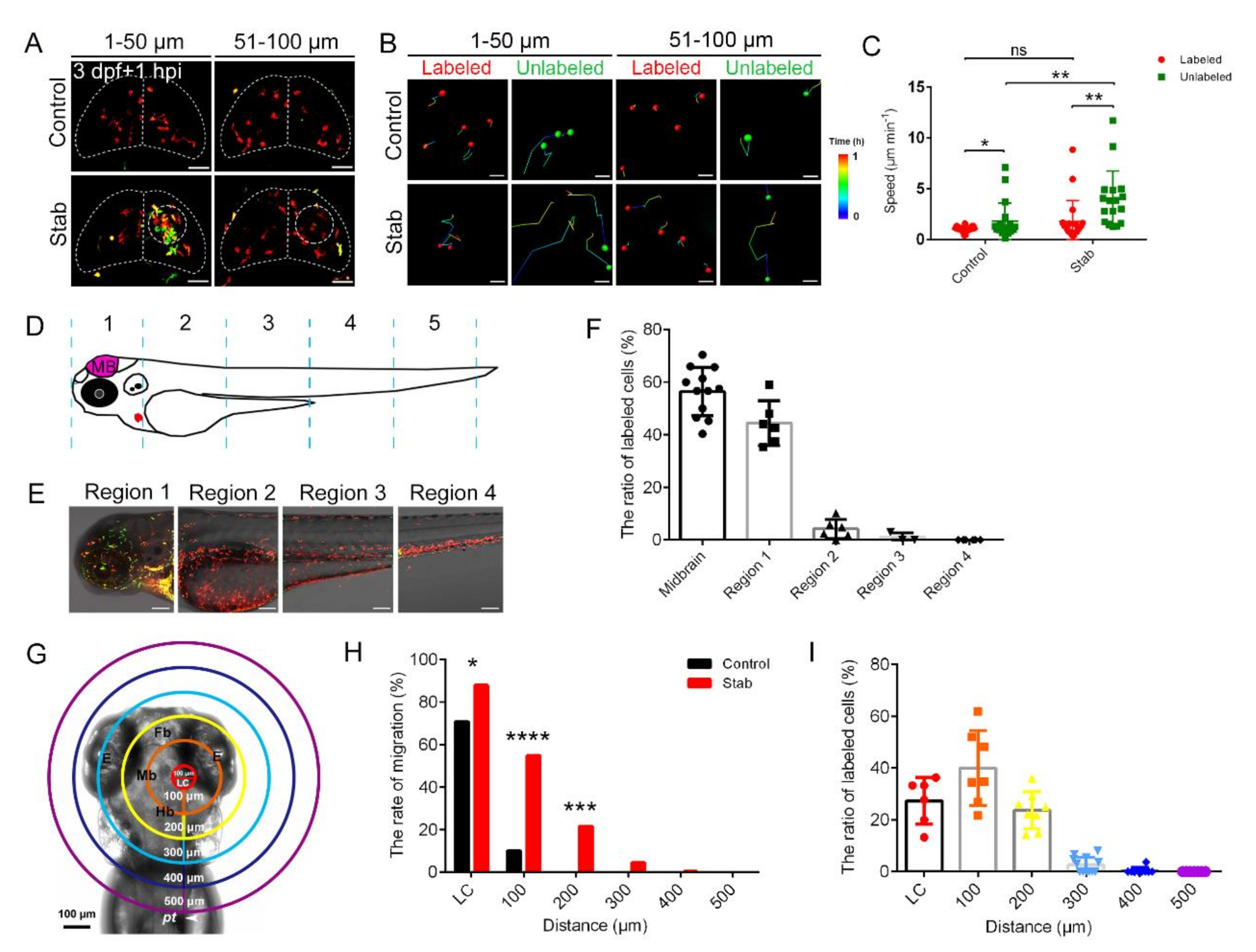 Ijms 23 10551 g002 Ijms 23 10551 g002