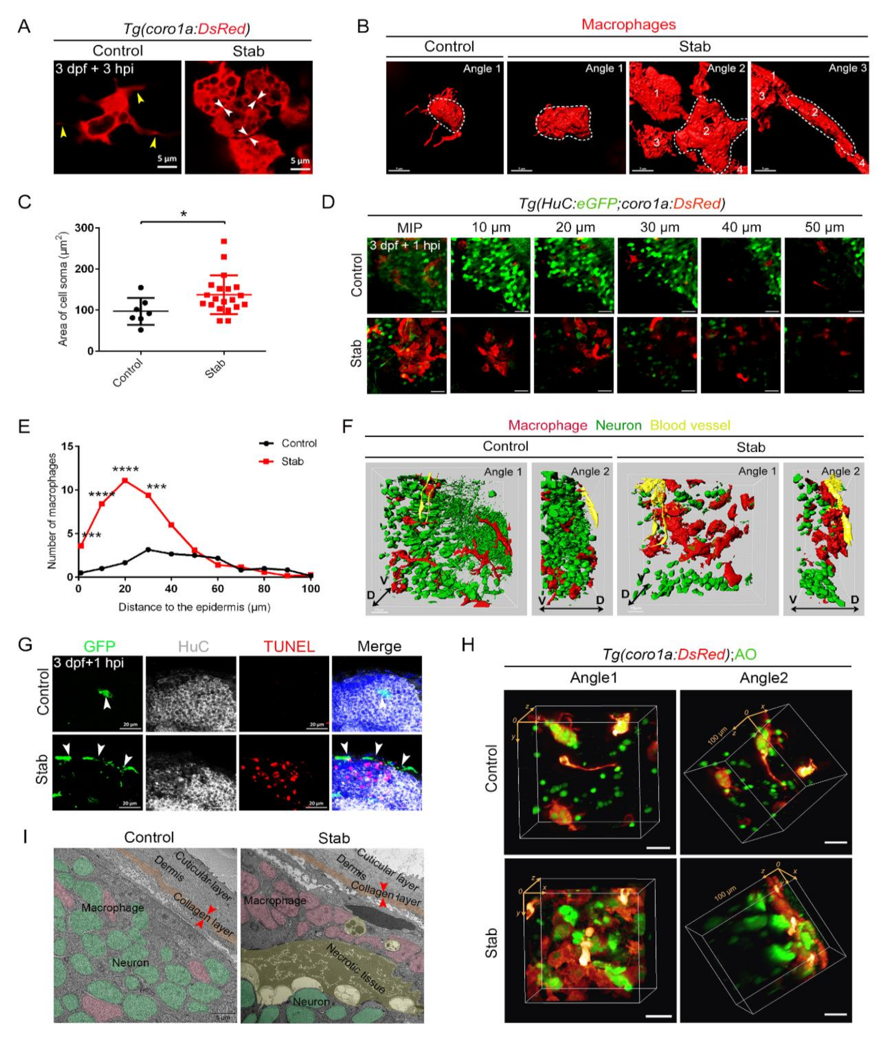 Ijms 23 10551 g003 Ijms 23 10551 g003